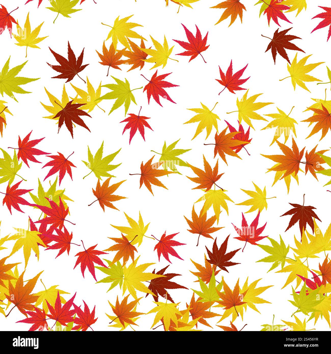 Twisted row of autumn maples leaves. Vector illustration Stock Vector ...