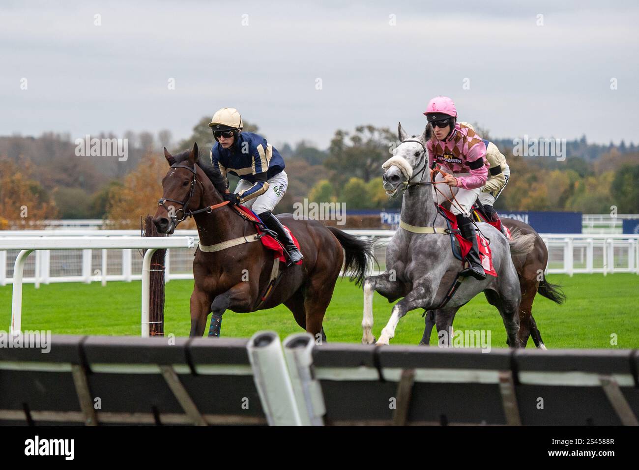 Gl events hi-res stock photography and images - Alamy