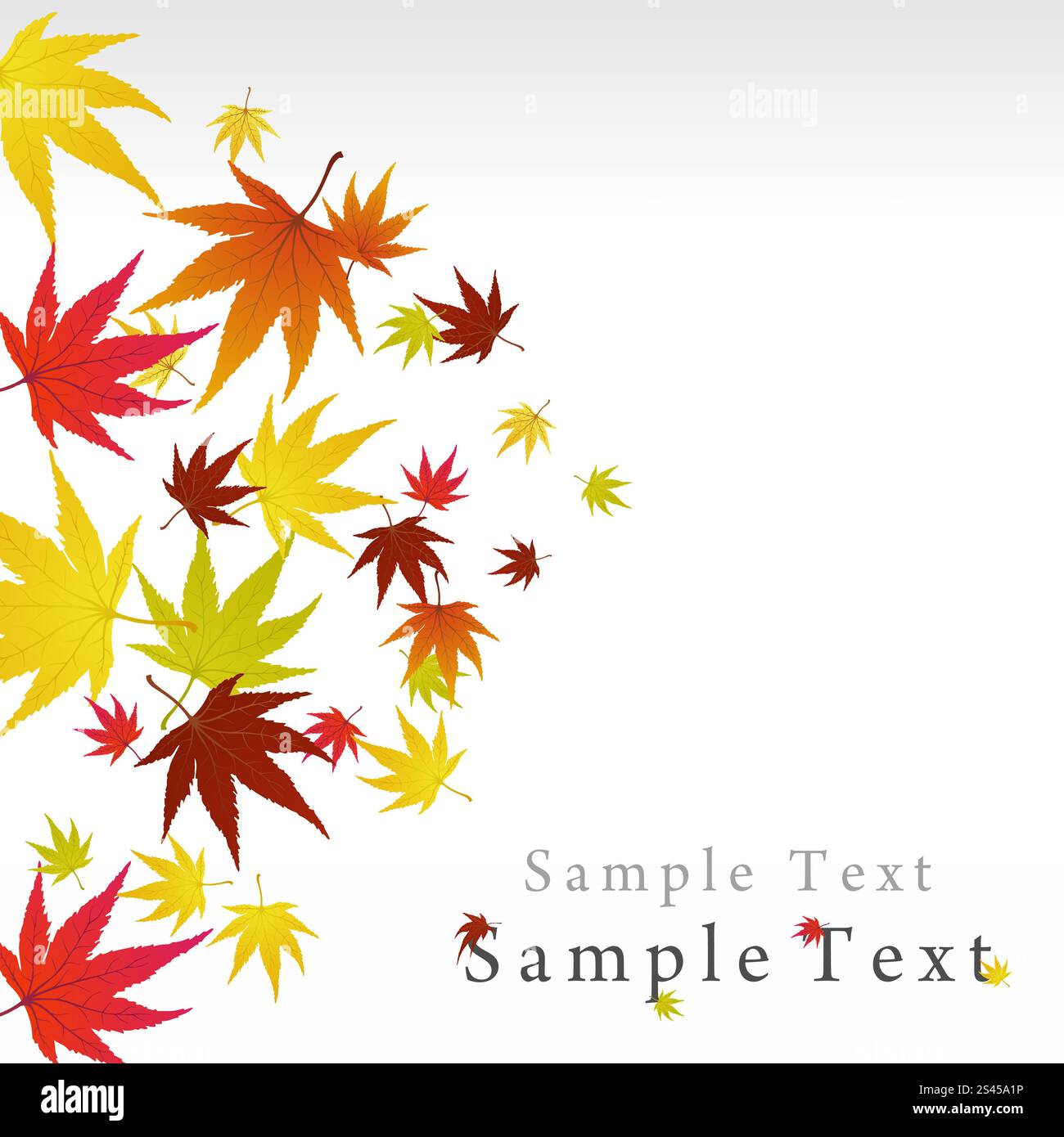 Twisted row of autumn maples leaves. Vector illustration Stock Vector ...