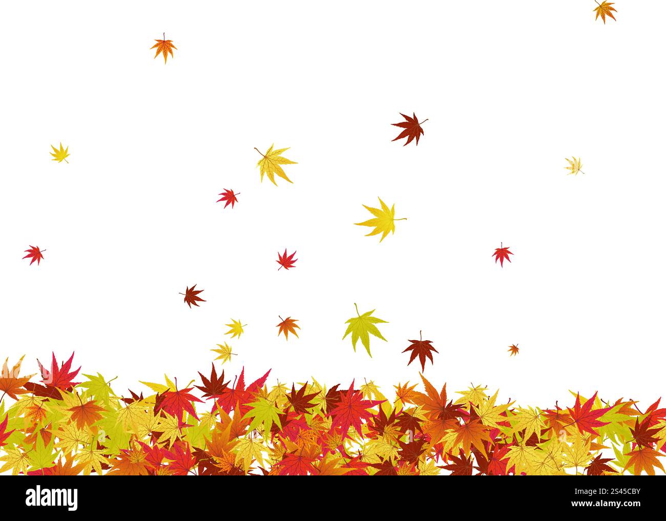 Pattern of autumn maples leaves. Vector illustration Stock Vector Image ...