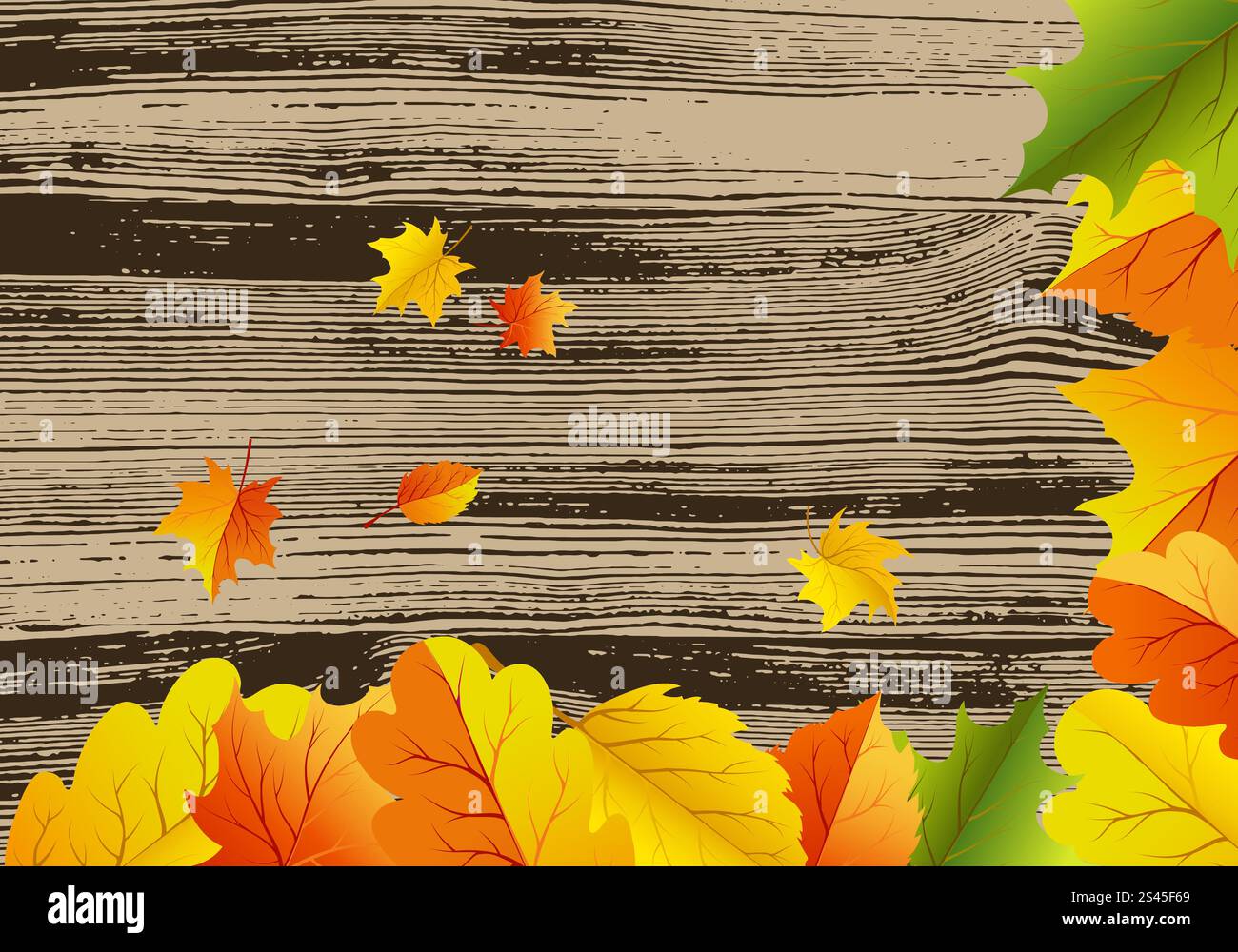 Autumn maples falling leaves background. Vector illustration Stock ...