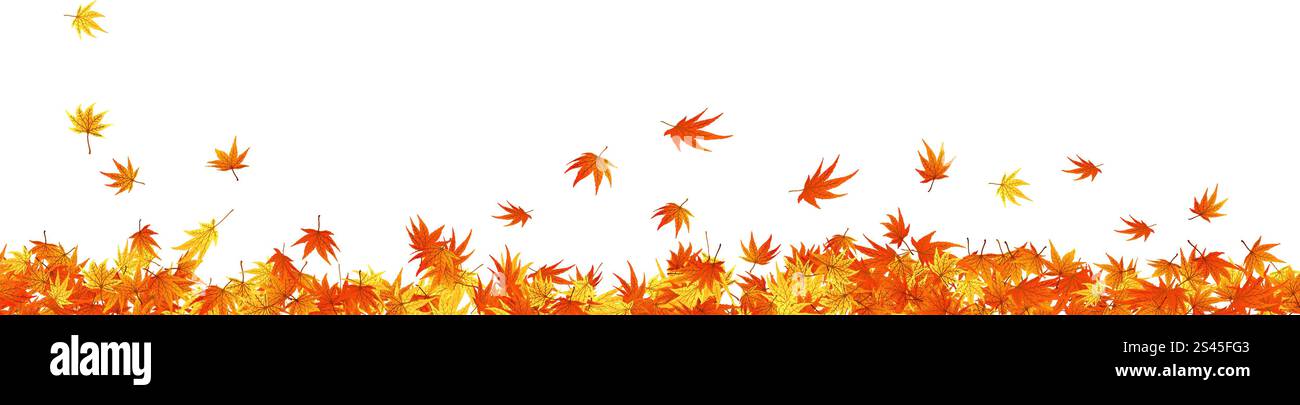 Pattern of autumn maples leaves. Vector illustration Stock Vector Image ...