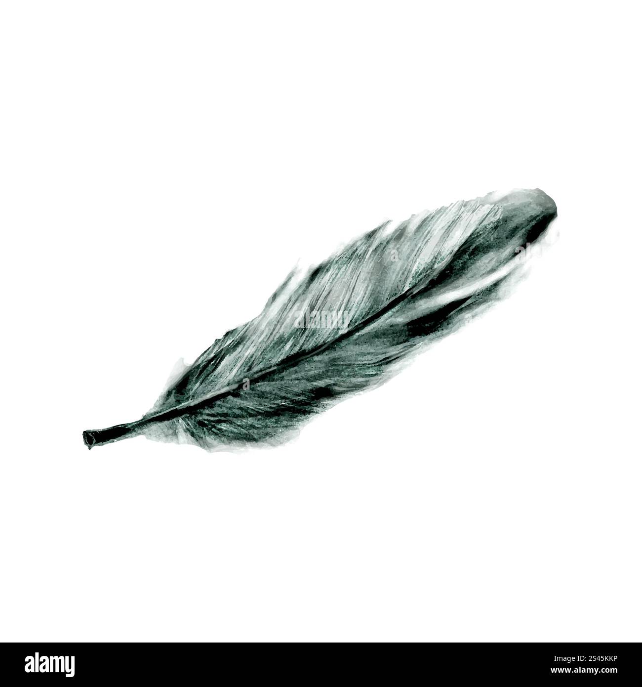 Illustration of hand drawn feather isolated on white background Stock ...