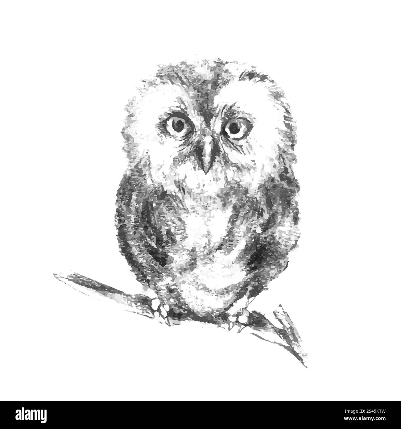 Illustration of hand drawn gray owl isolated on white background Stock ...