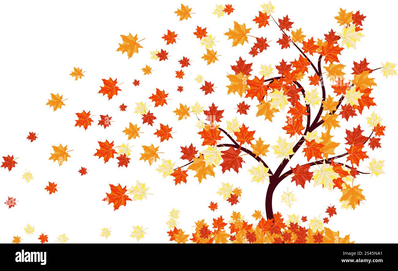 Autumn maples falling leaves background. Vector illustration Stock ...