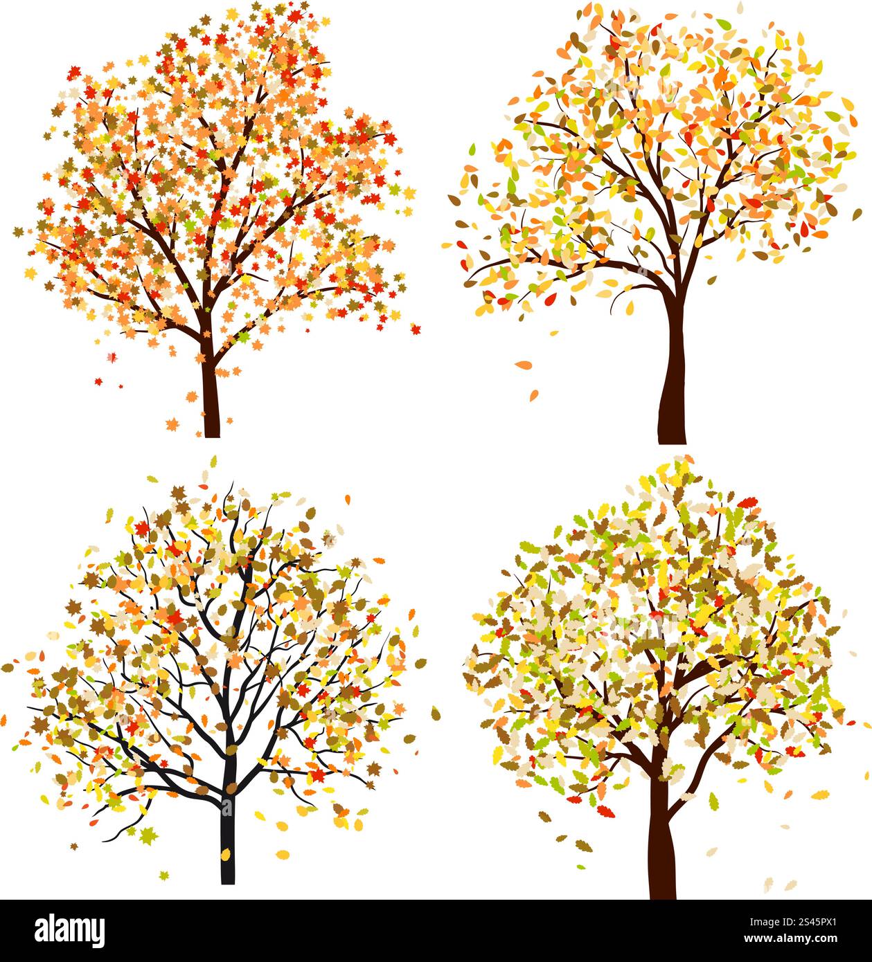 Set of four autumn tree. Vector illustration Stock Vector Image & Art ...
