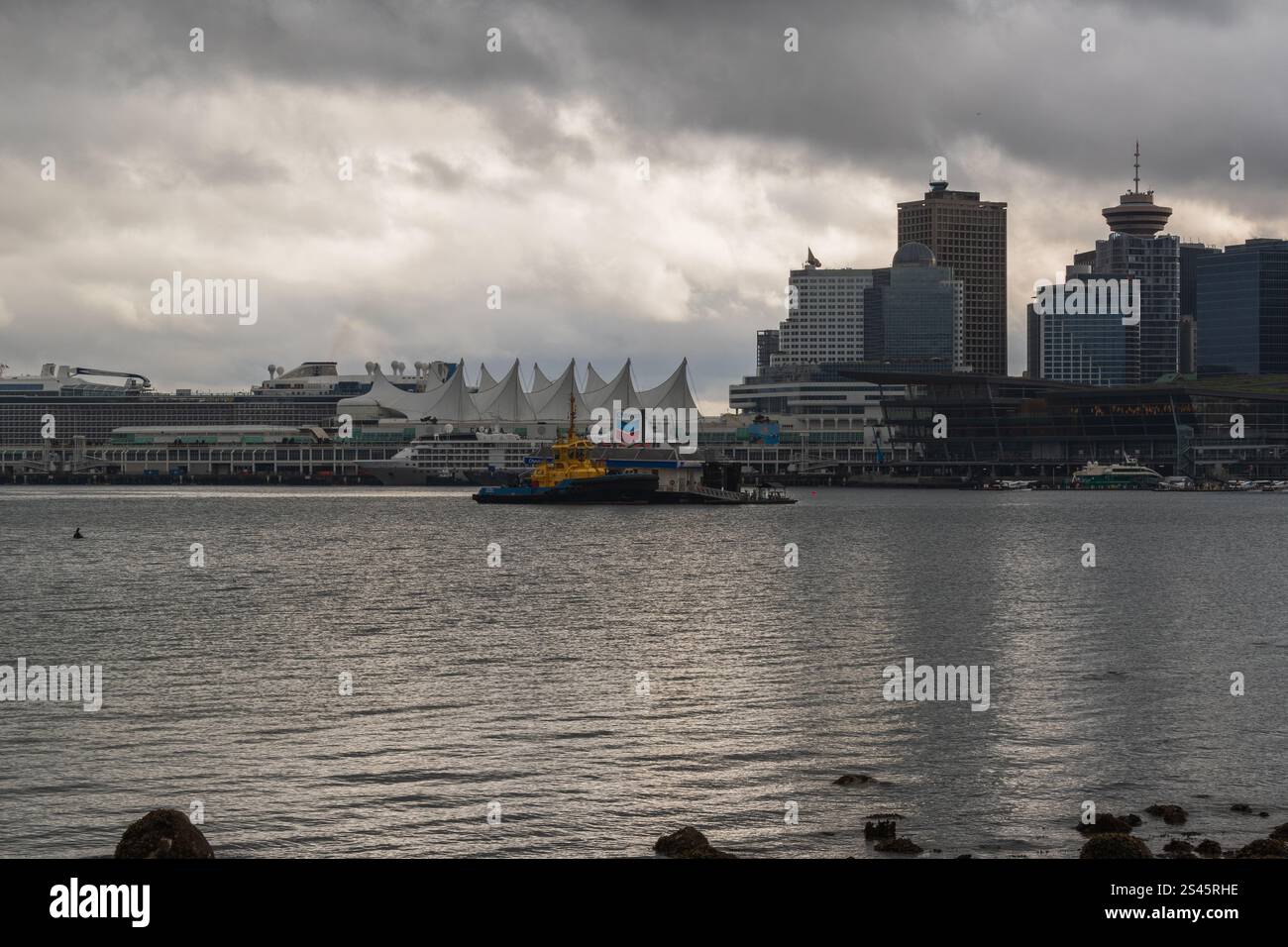 Downtown Vancouver skyline across Coal Harbour as seen from Stanley ...