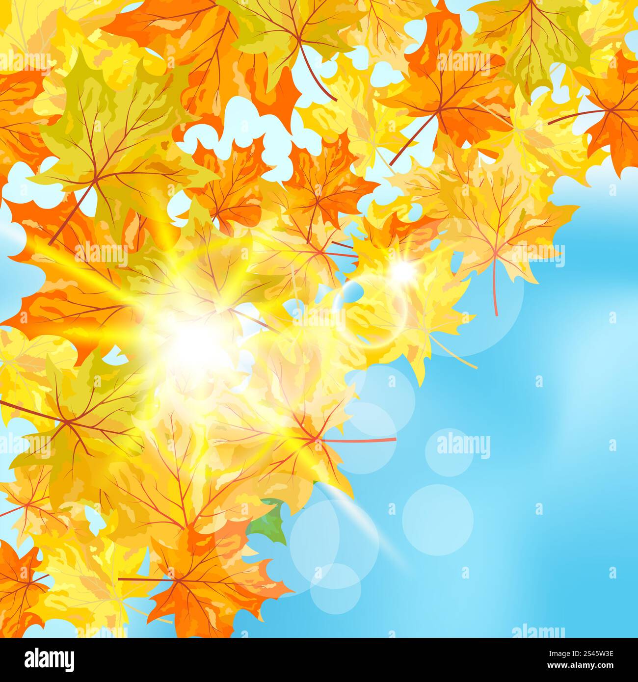 Autumn maple leaves background. Vector illustration with transparency ...