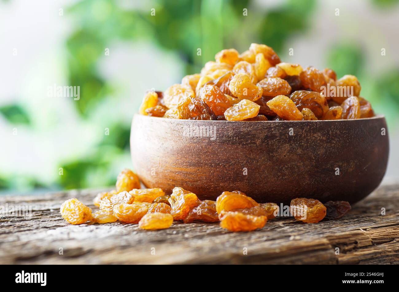 Dried grapes in wooden bowl or scoop on rustic background, healthy dry fruit concept, raisins Stock Photo