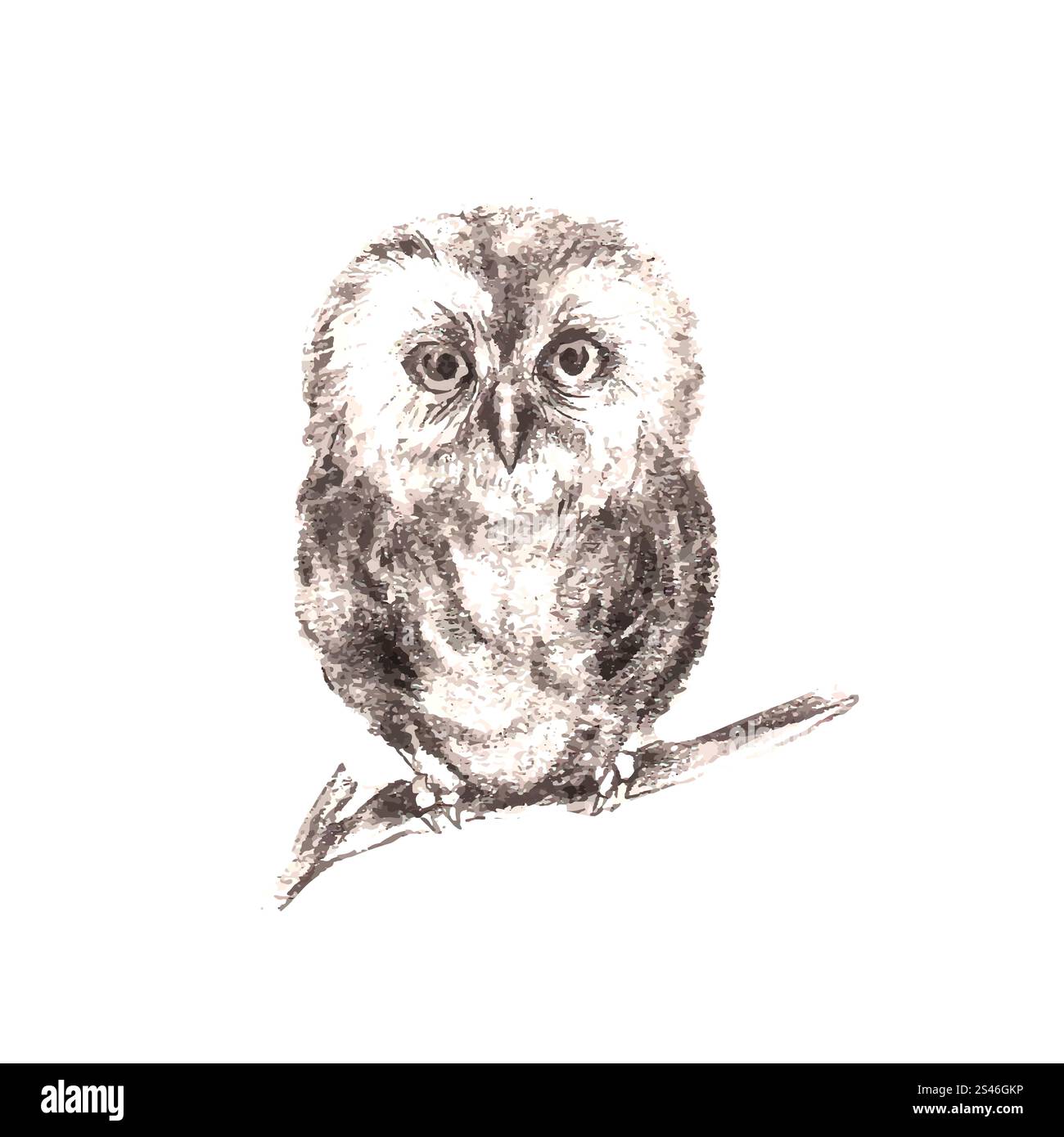 Illustration of hand drawn owl isolated on white background Stock ...