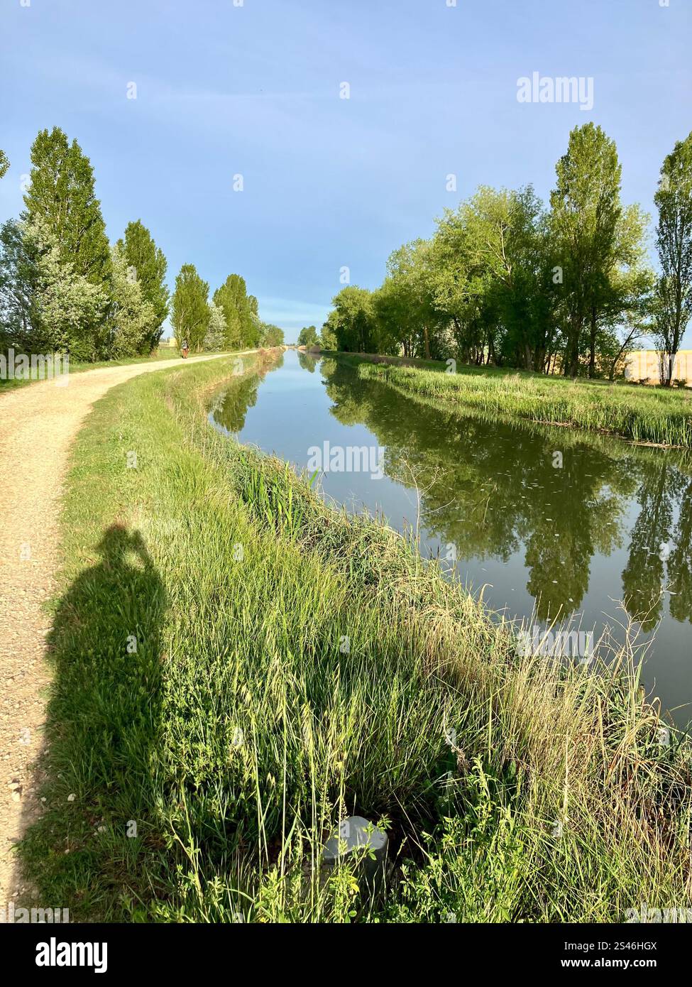 Tree Lined Canal with Pilgrim Shadow on the Camino Francés - Smartphone Captured Stock Image