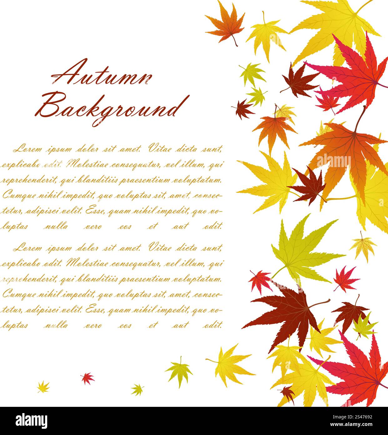 Autumn Frame With Falling Maple Leaves on White Background. Elegant ...