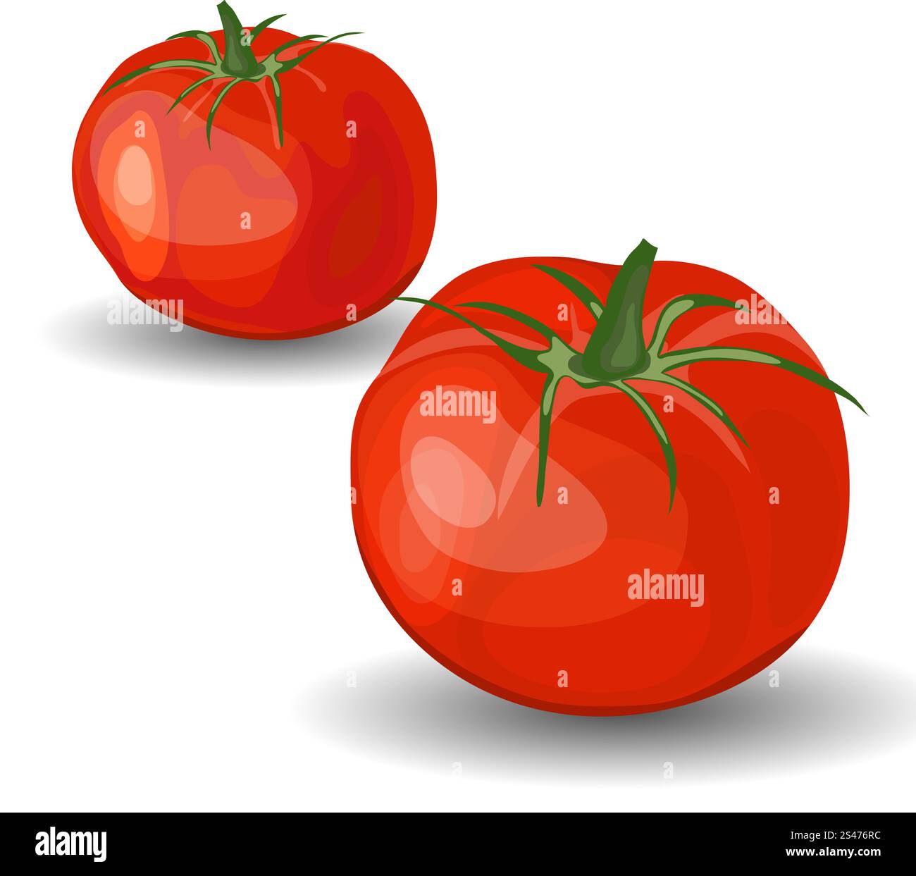 Set of Two Beautiful Glossy Red Tomatoes over White Background. Cute ...