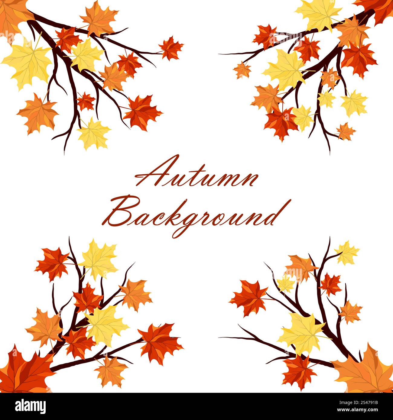 Autumn Frame With Maple Leaves on Branches of Tree Over White ...