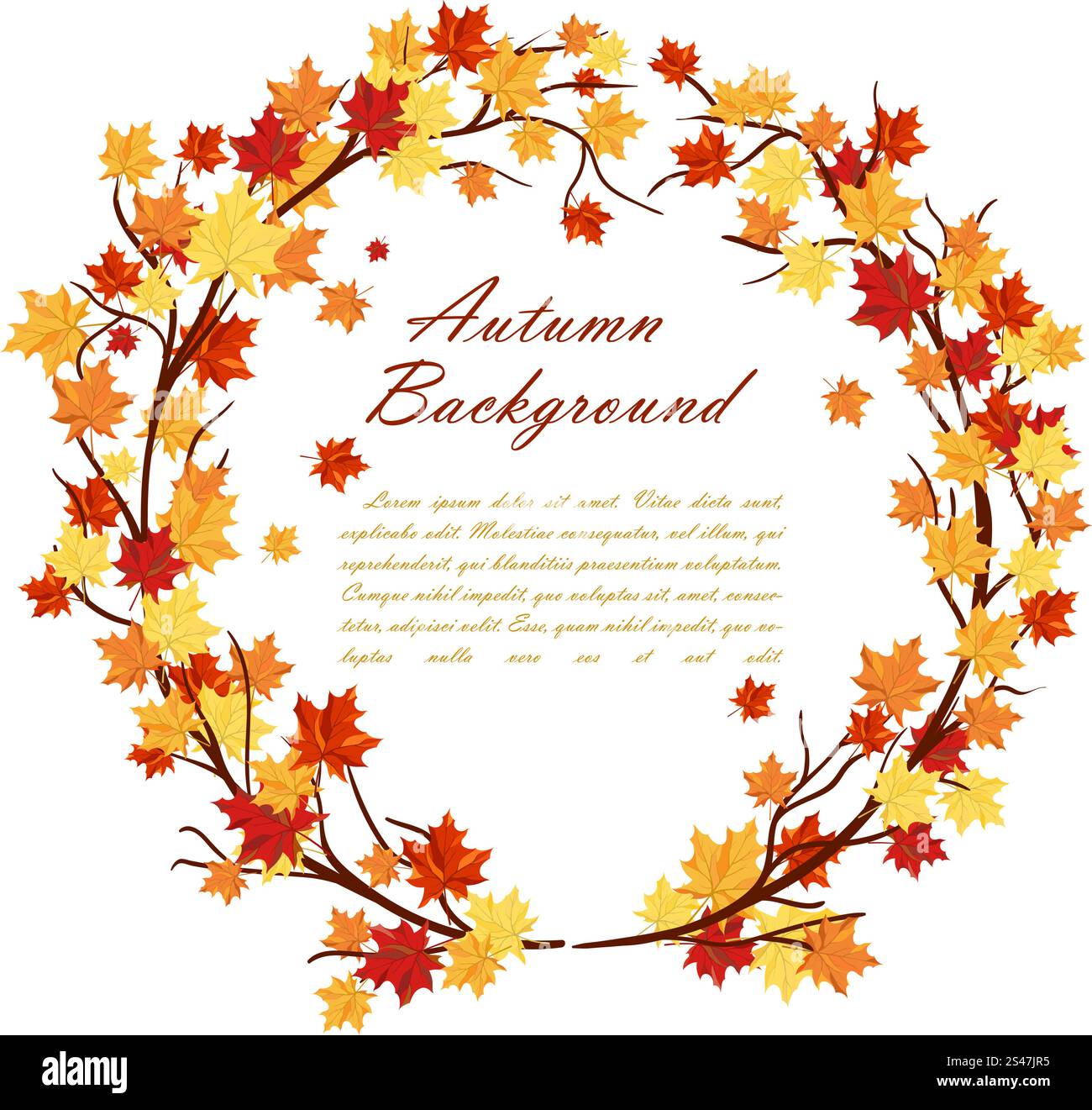 Autumn Frame With Maple Leaves on Branches of Tree Over White ...