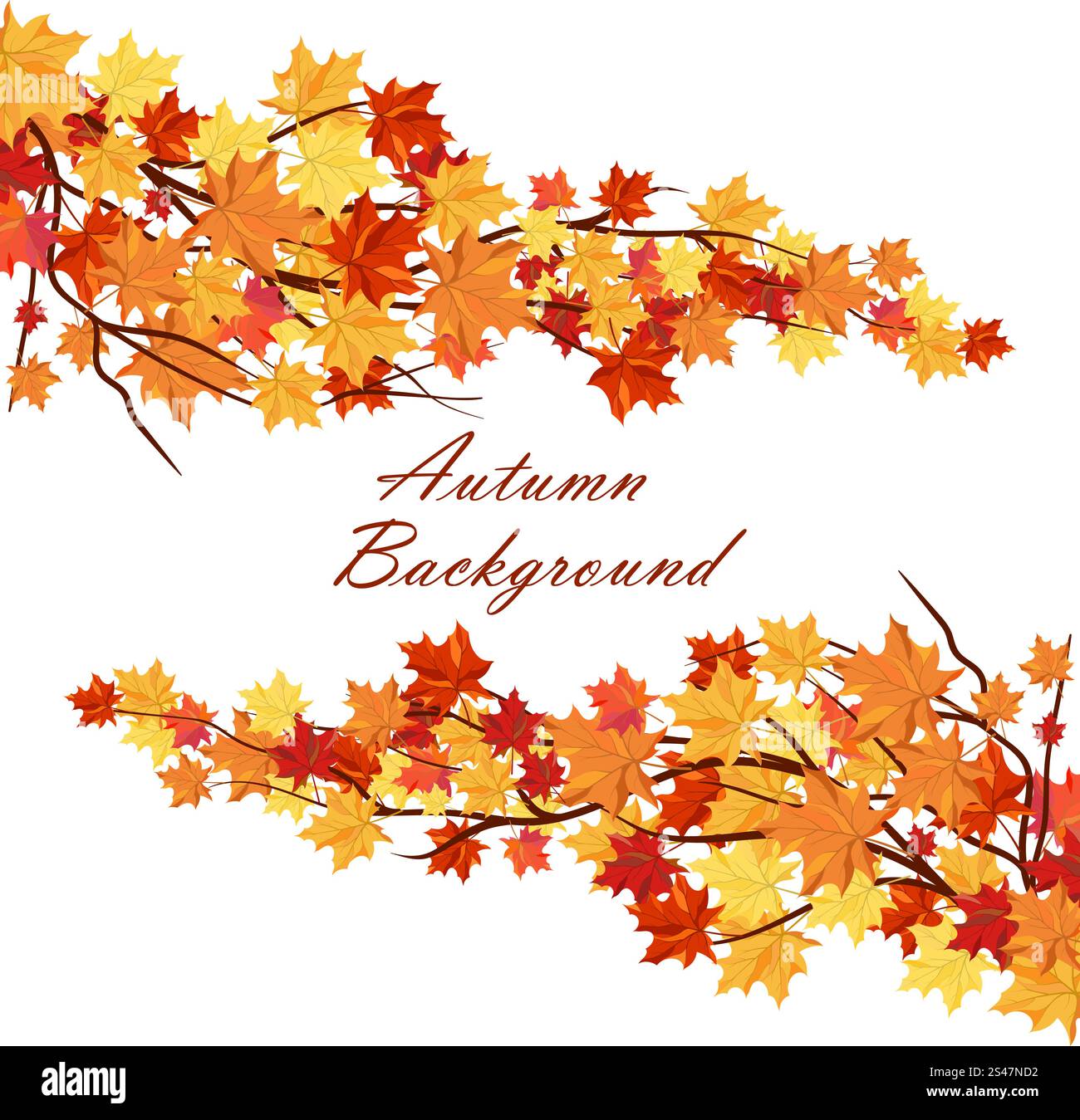 Autumn Frame With Maple Leaves on Branches of Tree Over White ...