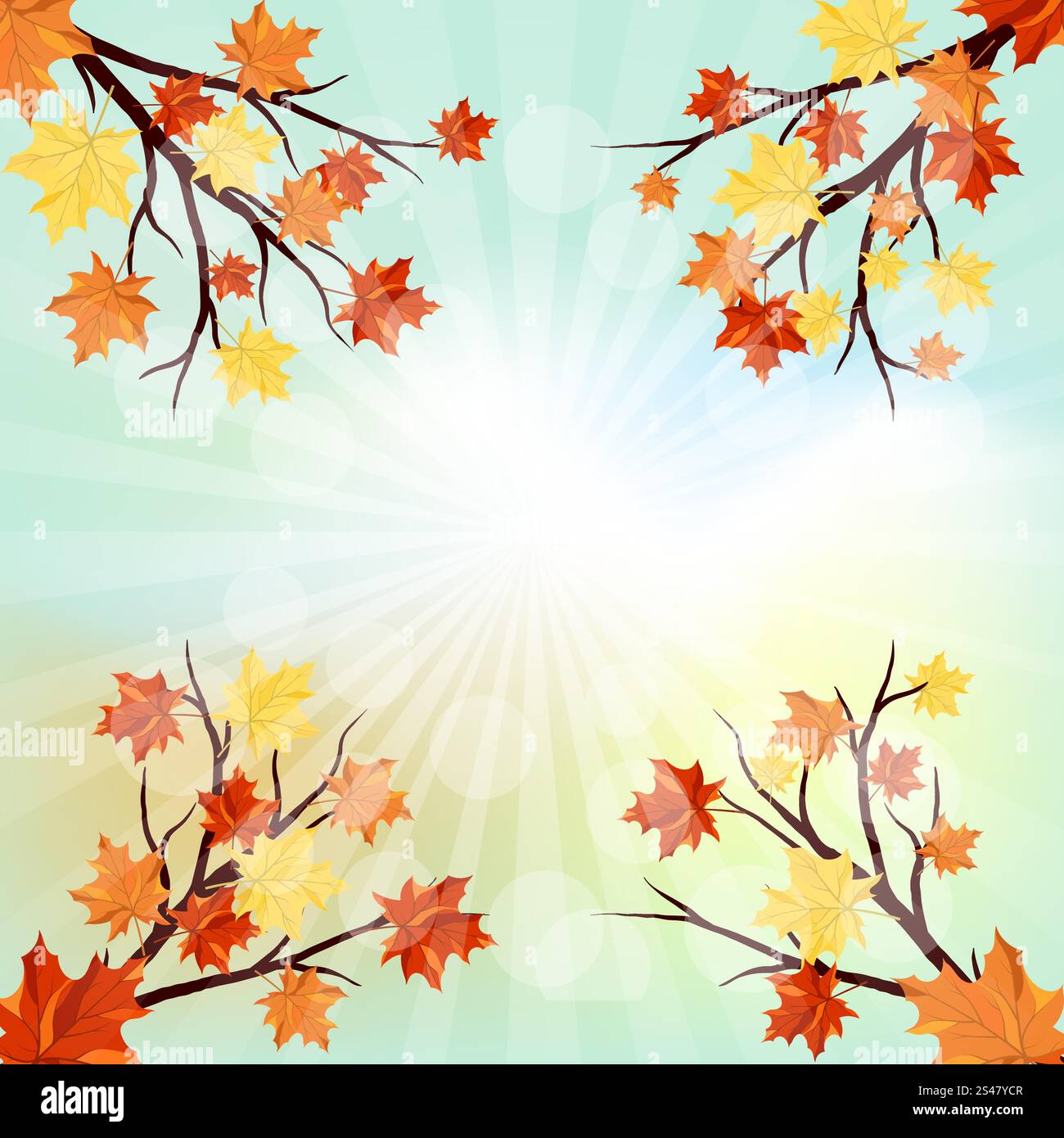 Autumn Frame With Maple Leaves on Branches of Tree Over Sky Background ...