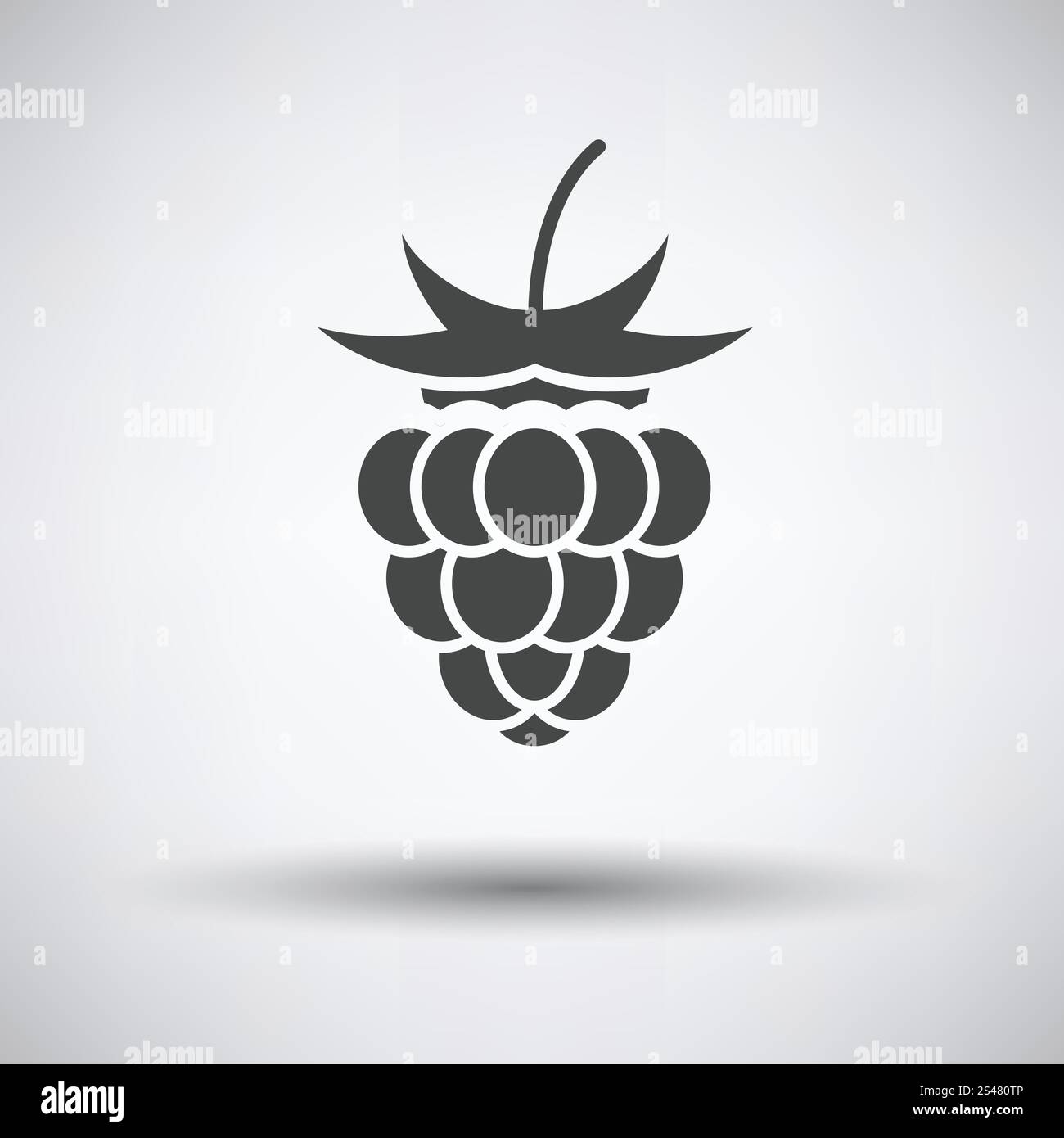 Raspberry icon on gray background with round shadow. Vector ...