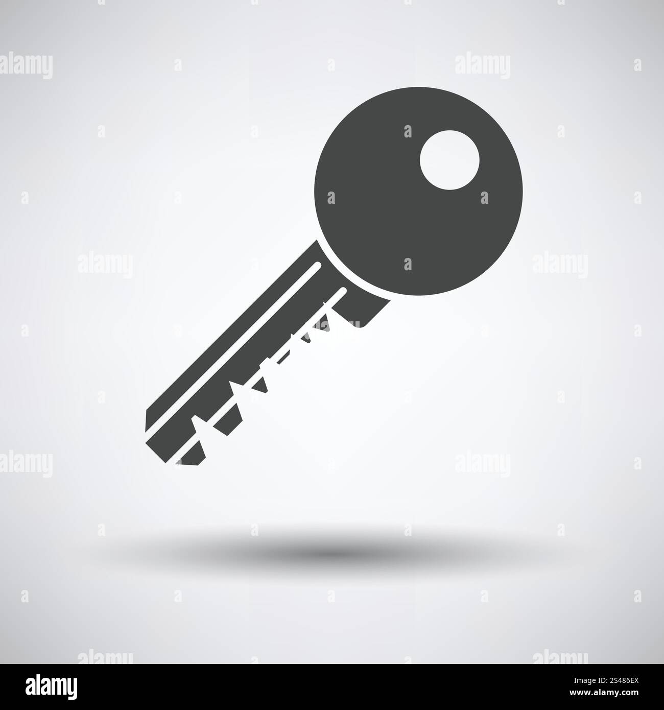 Key icon on gray background with round shadow. Vector illustration ...