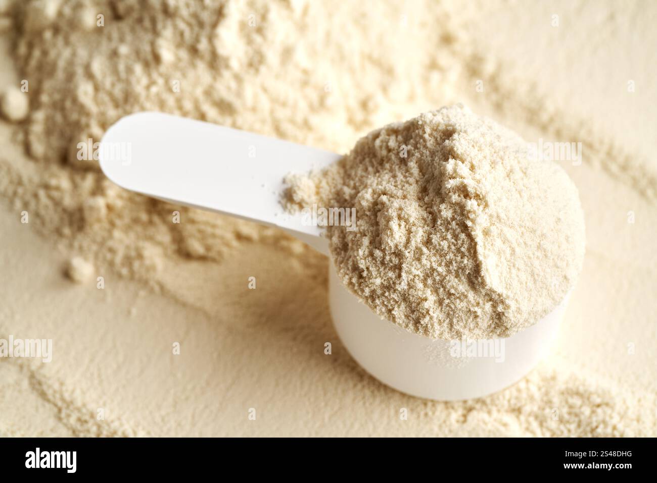 a-scoop-of-whey-protein-powder-healthy-nutritional-supplement-stock
