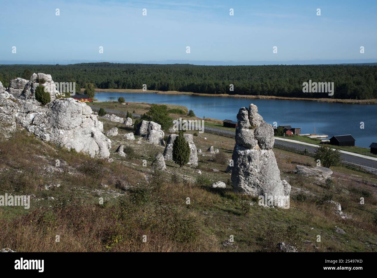 The rauks of Lergravsviken on Gotland Island in Sweden are the remains ...