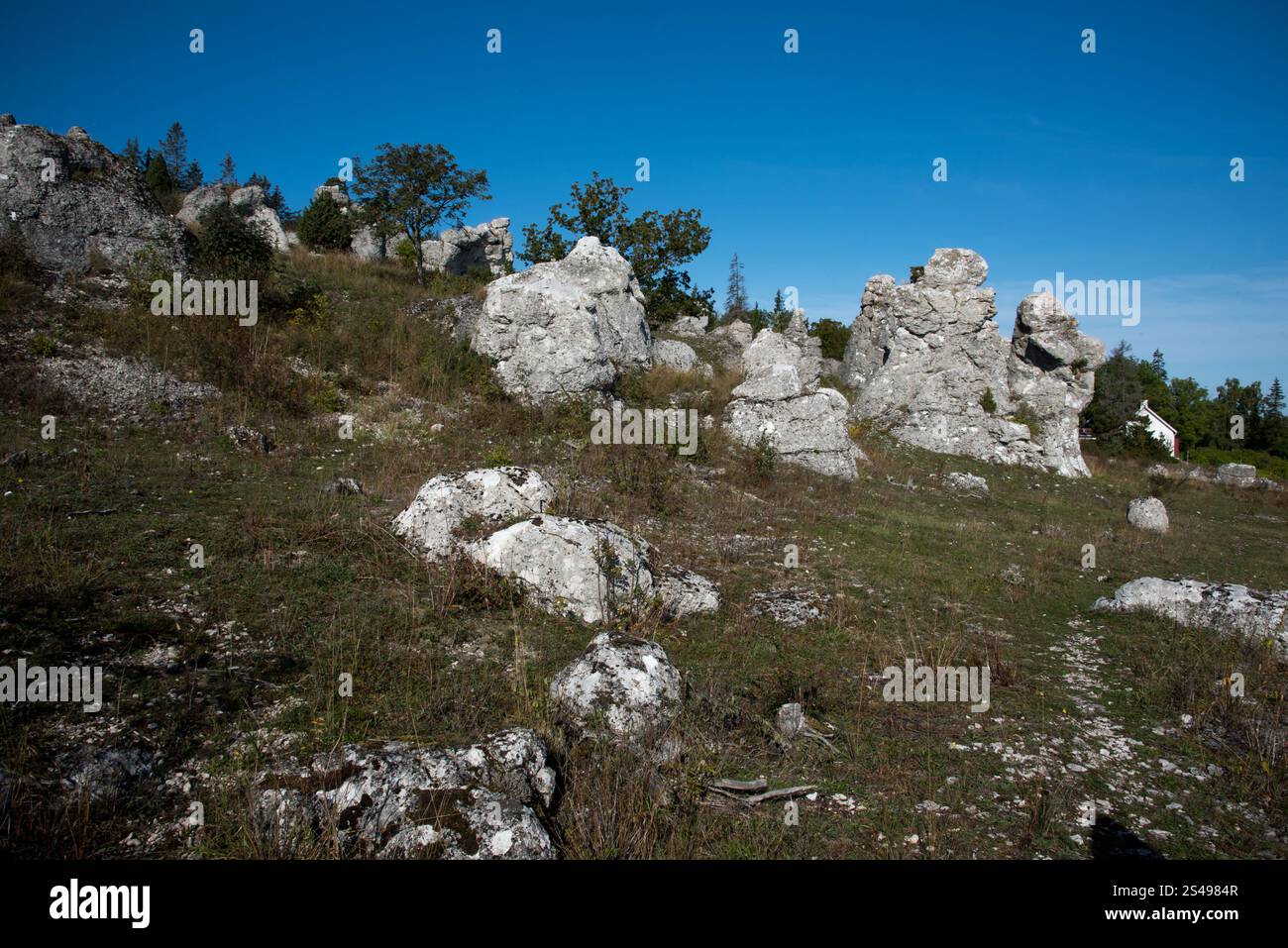 The rauks of Lergravsviken on Gotland Island in Sweden are the remains ...