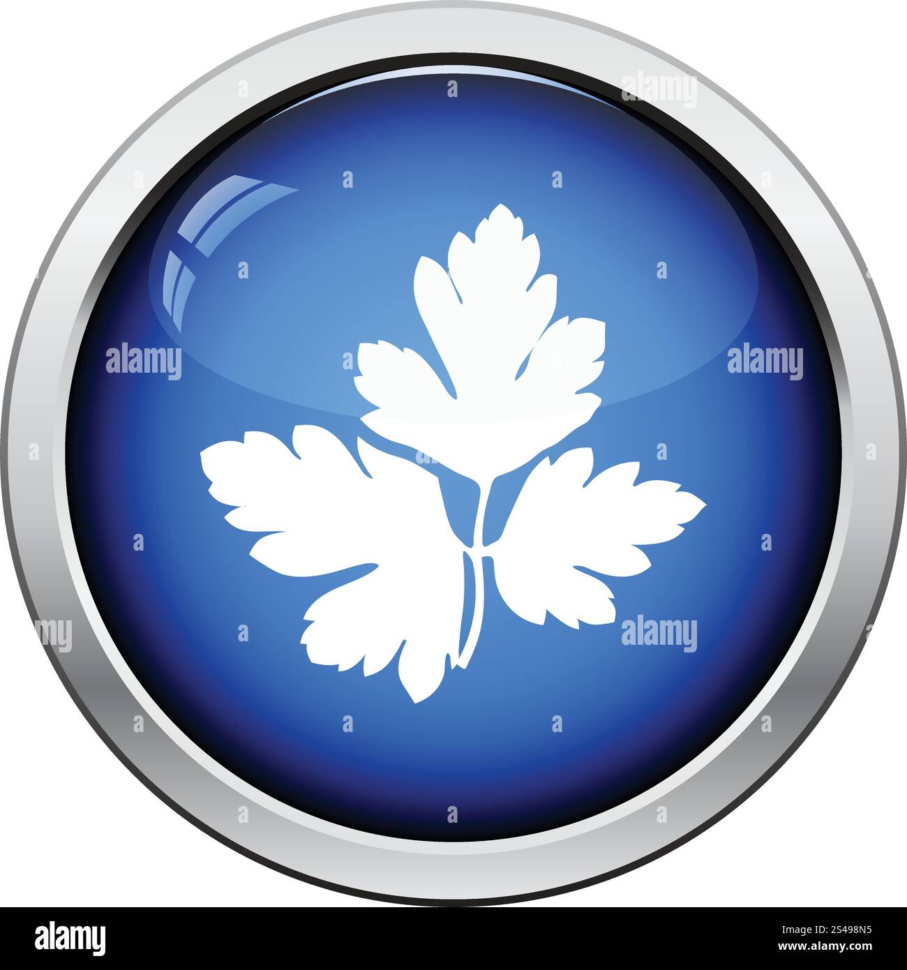 Parsley icon. Glossy button design. Vector illustration. Stock Vector