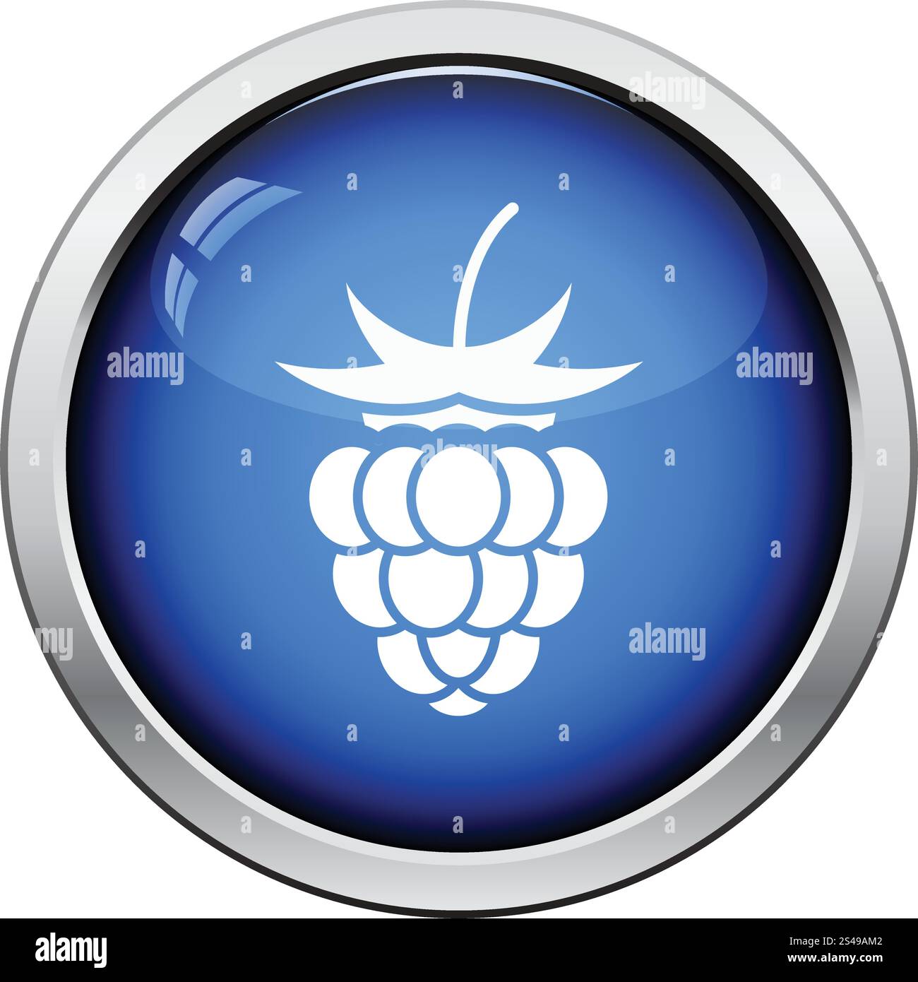 Icon of Raspberry. Glossy button design. Vector illustration Stock ...