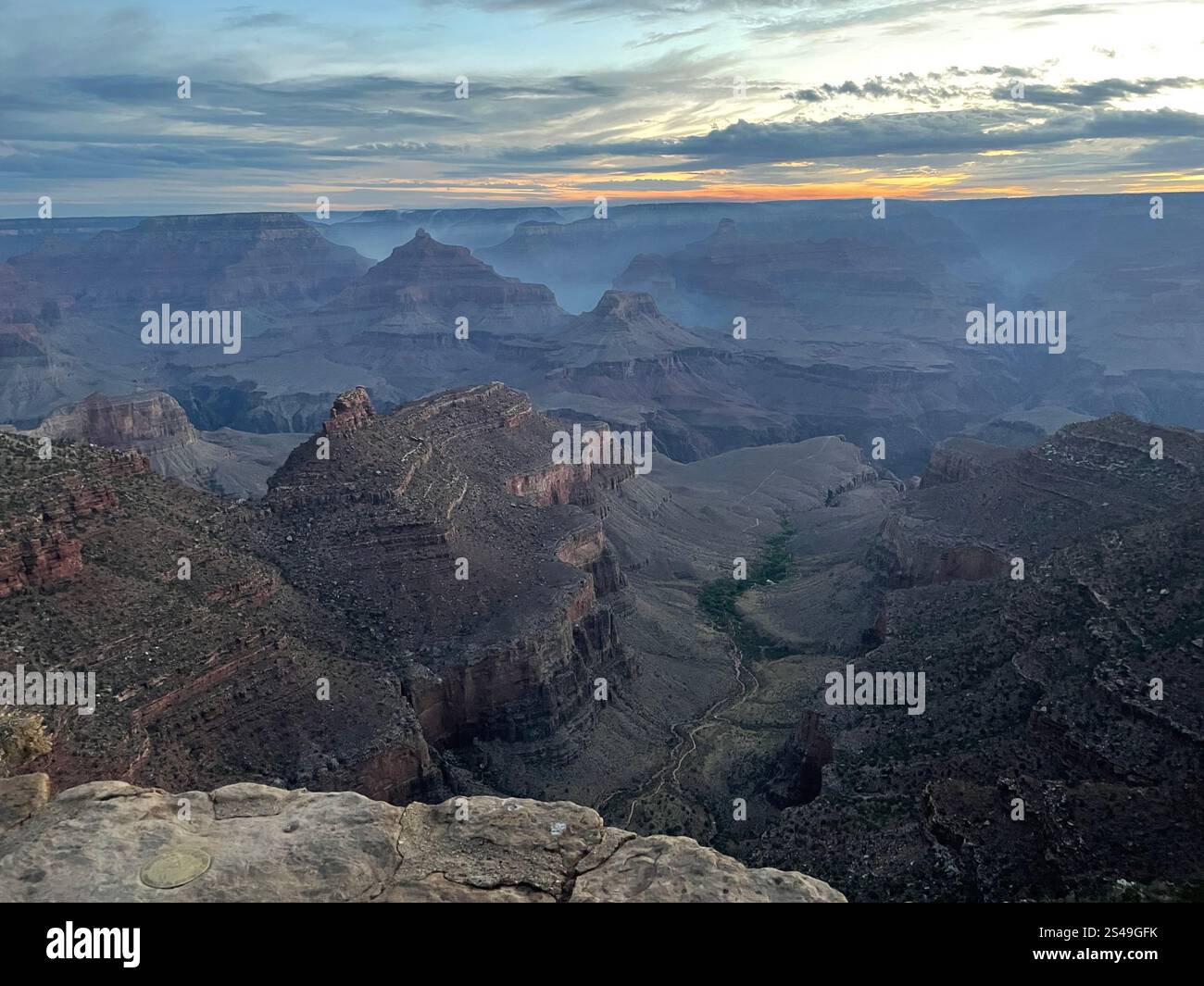 Beautiful pictures of nature - Smartphone Captured Stock Image