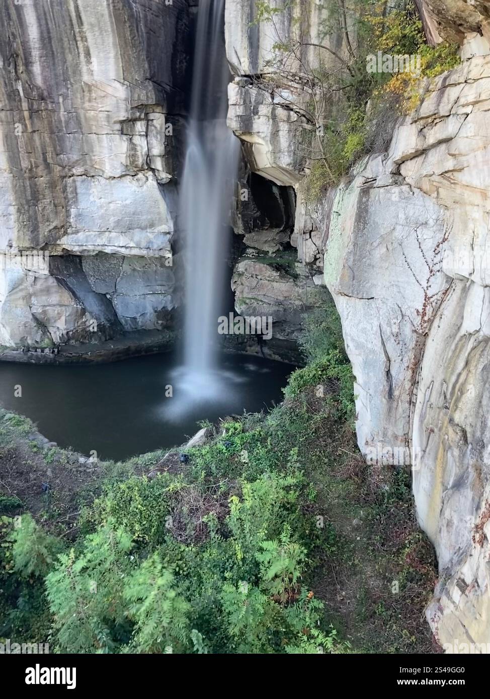 Beautiful pictures of nature - Smartphone Captured Stock Image