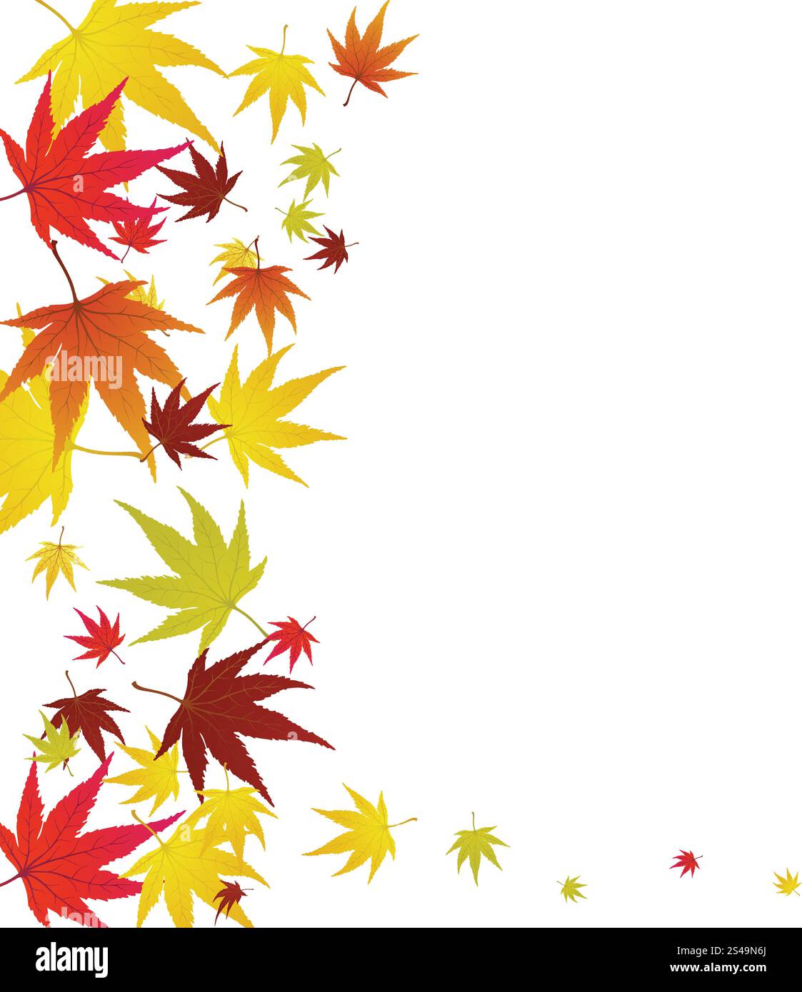 Autumn Frame With Falling Maple Leaves on White Background. Elegant ...