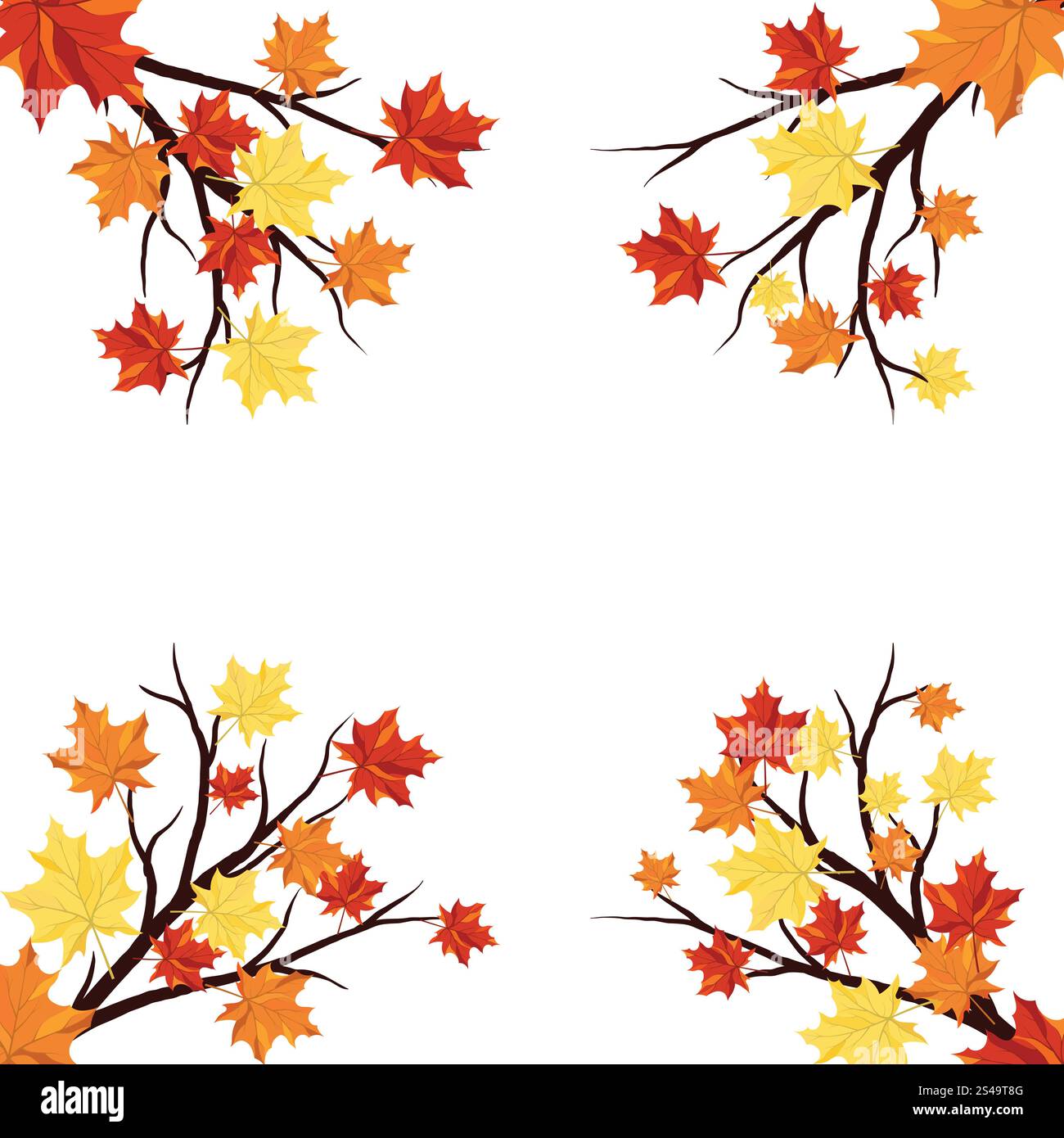 Autumn Frame With Maple Leaves on Branches of Tree Over White ...