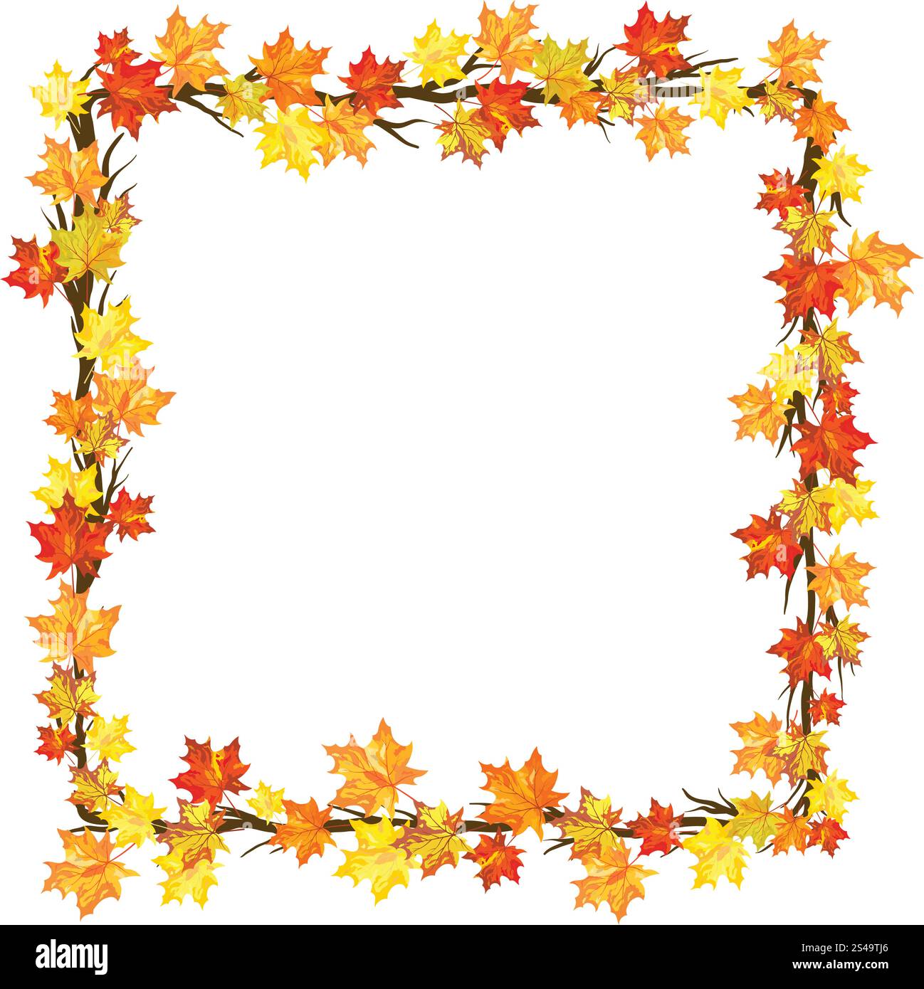 Autumn Frame With Maple Leaves on Branches of Tree Over White ...