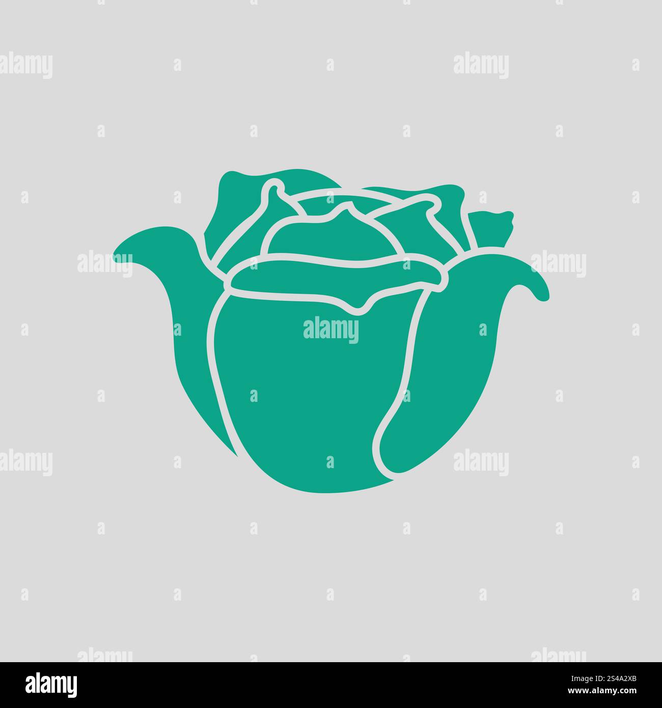 Cabbage icon. Gray background with green. Vector illustration Stock ...