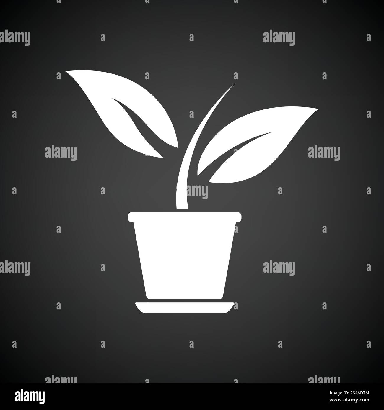 Plant in flower pot icon. Black background with white. Vector ...