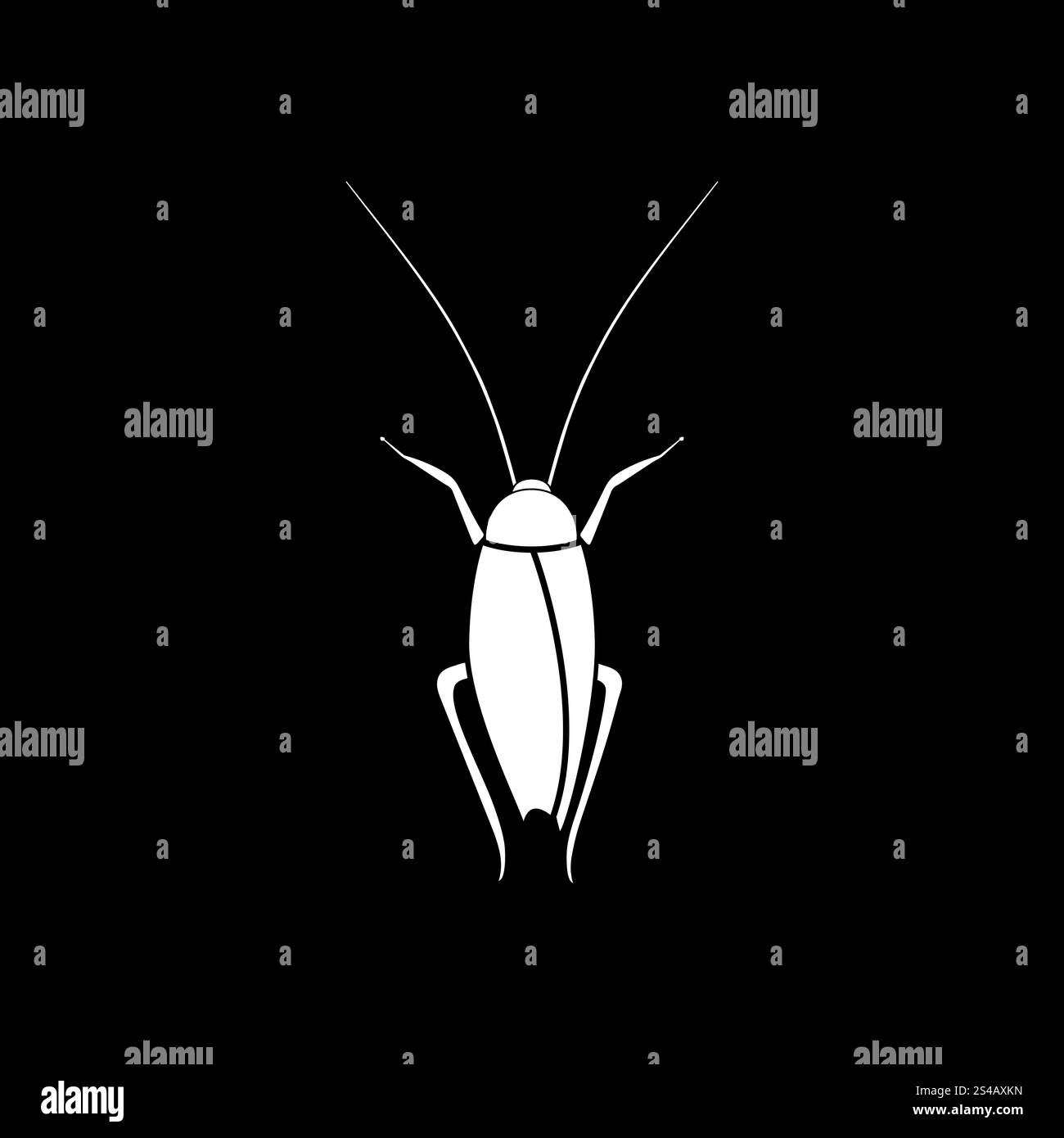Cockroach beetle Black and White Stock Photos & Images - Alamy