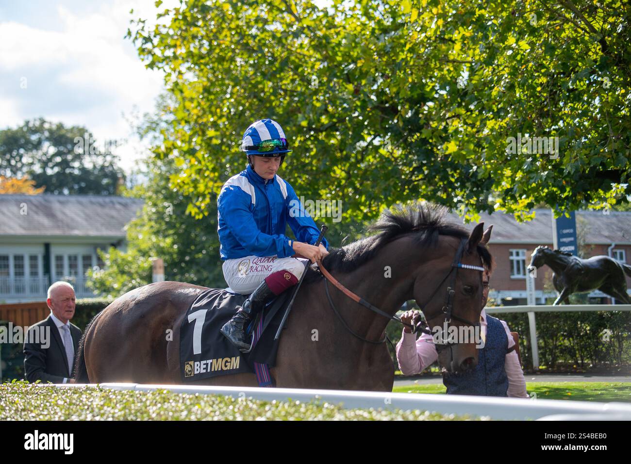 Al aasy horse hi-res stock photography and images - Alamy