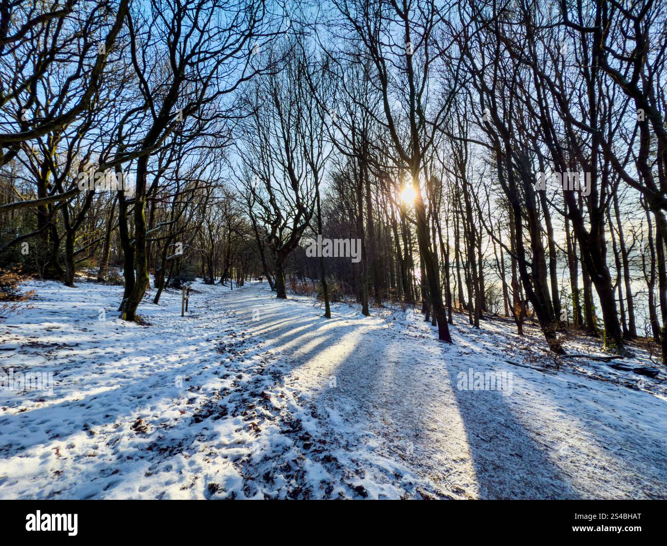 Snow at Rivington near Chorley in Lancashire with the low winter sun shining through the trees - Smartphone Captured Stock Image