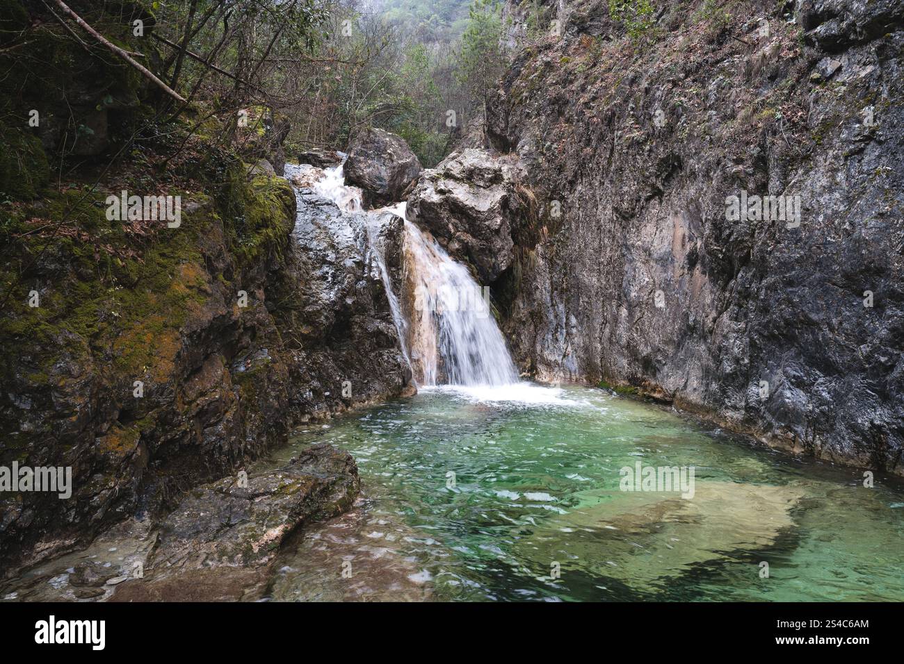 Yosh porno galereyalar Rus onalar rasmlar