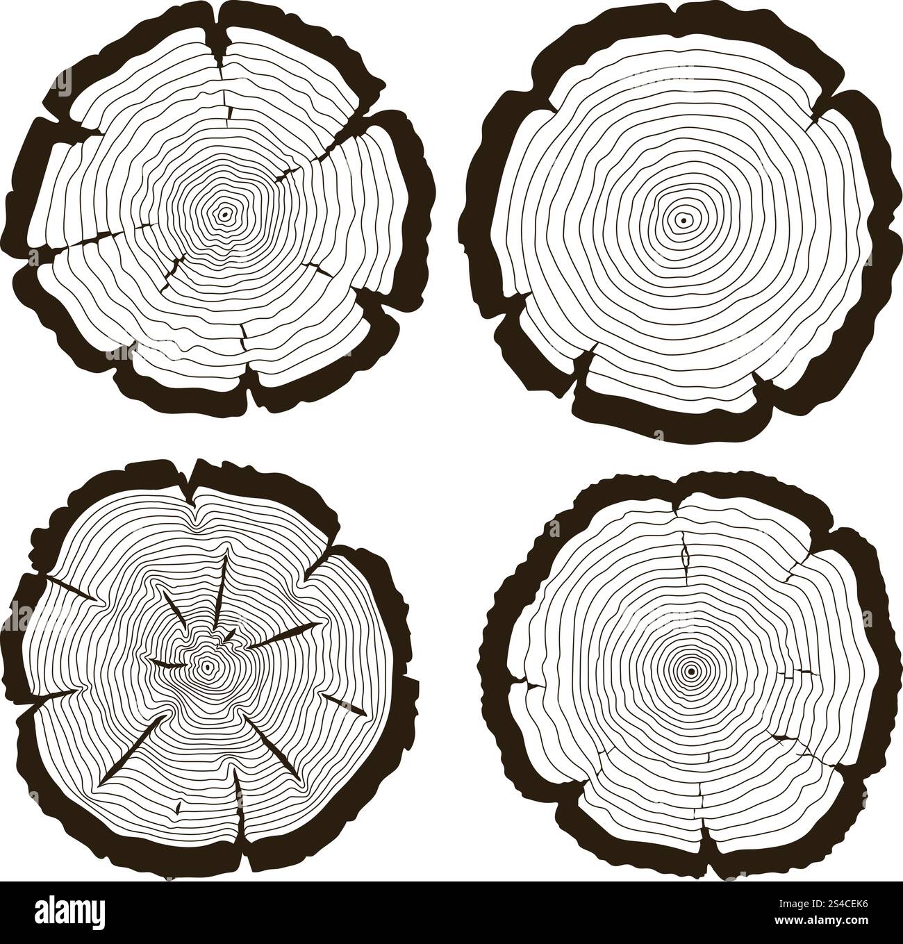 Vector tree rings and saw cut trunk set. Vector tree rings and saw cut trunk set. Wood trunk concentric and linear monochrome cut trunk illustration Stock Vector