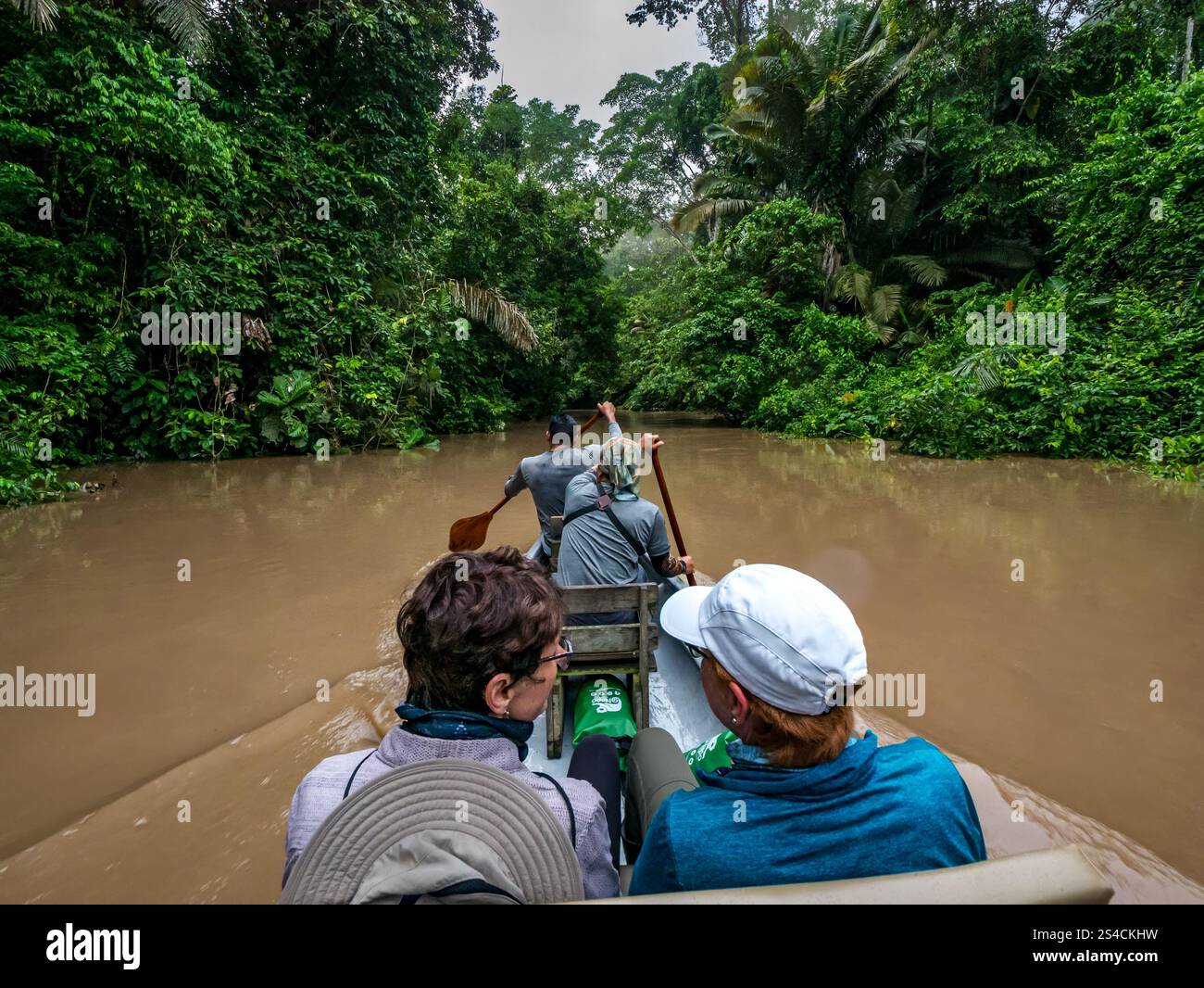 Tourists in canoe being paddled by Napo Wildlife Eco Lodge guides on Anangu Creek, Amazon rainforest, Yasuni National Park, Ecuador, South America Stock Photo