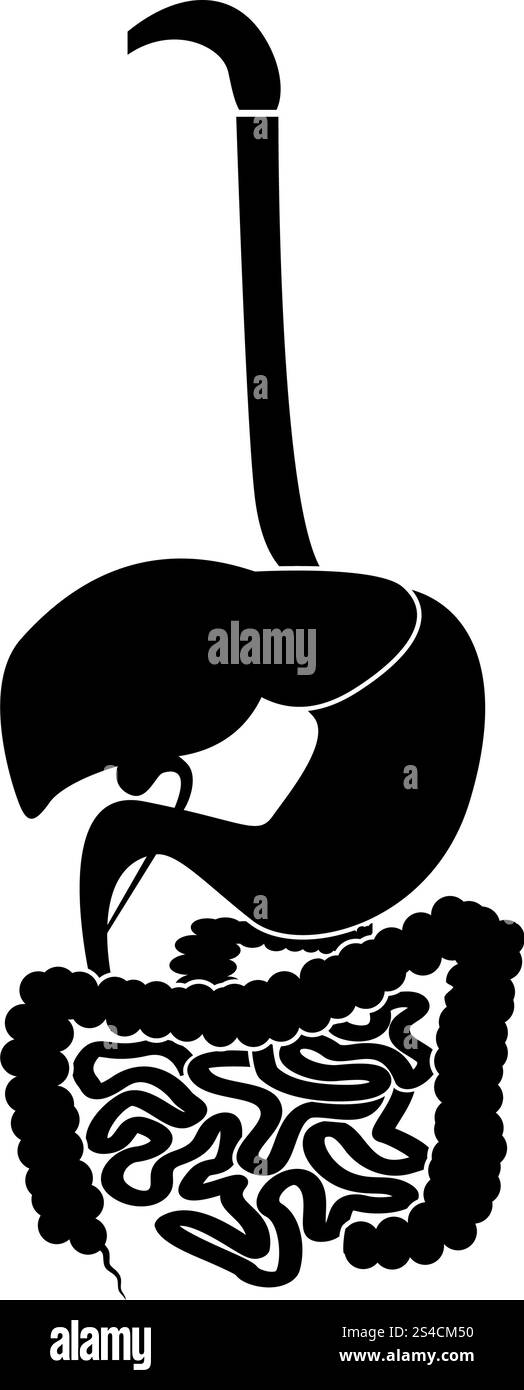 Digestive system icon black color vector illustration flat style simple image Stock Vector