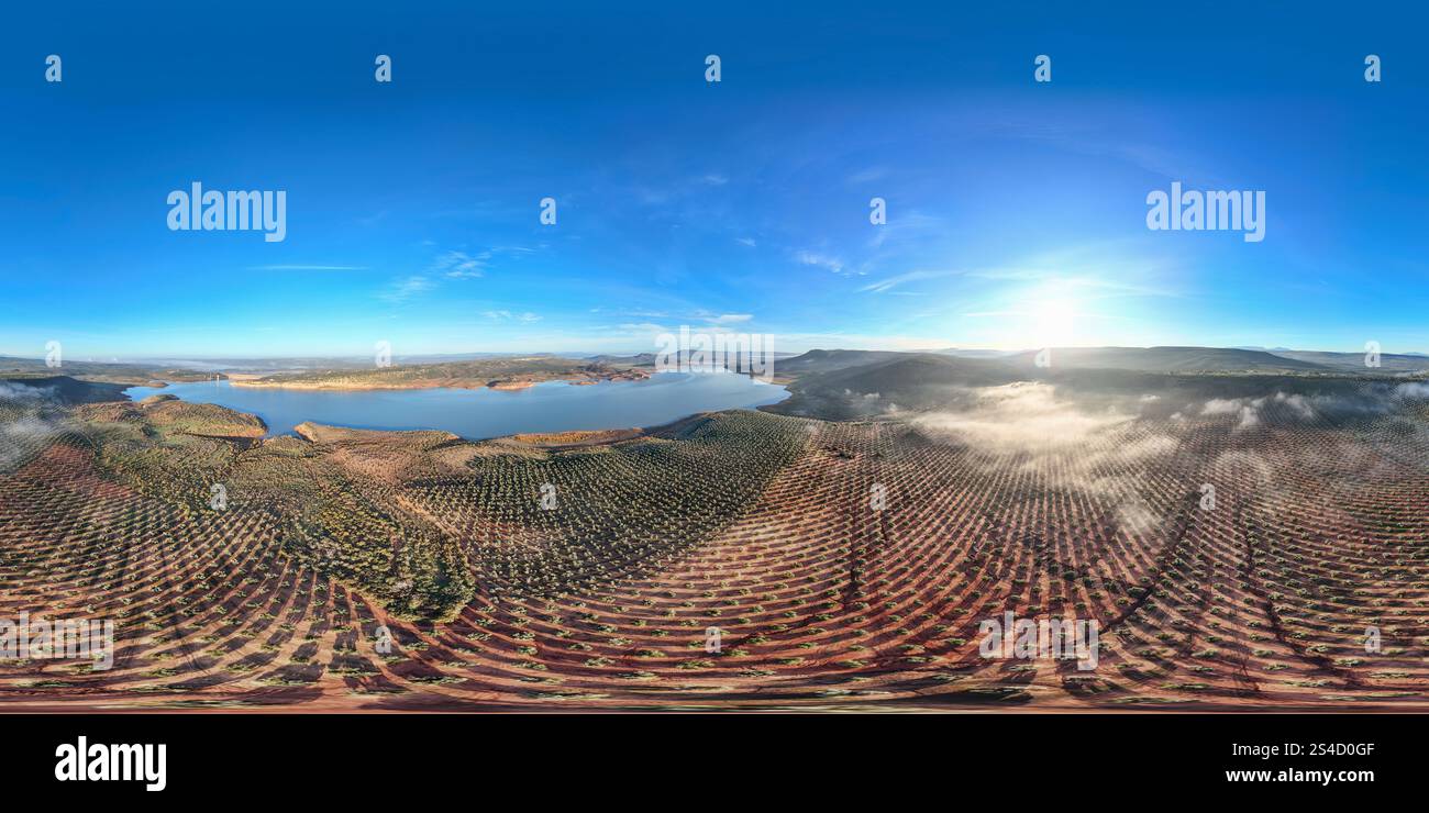Aerial Rising Aerial view vast organized oil hi-res stock photography and images - Alamy