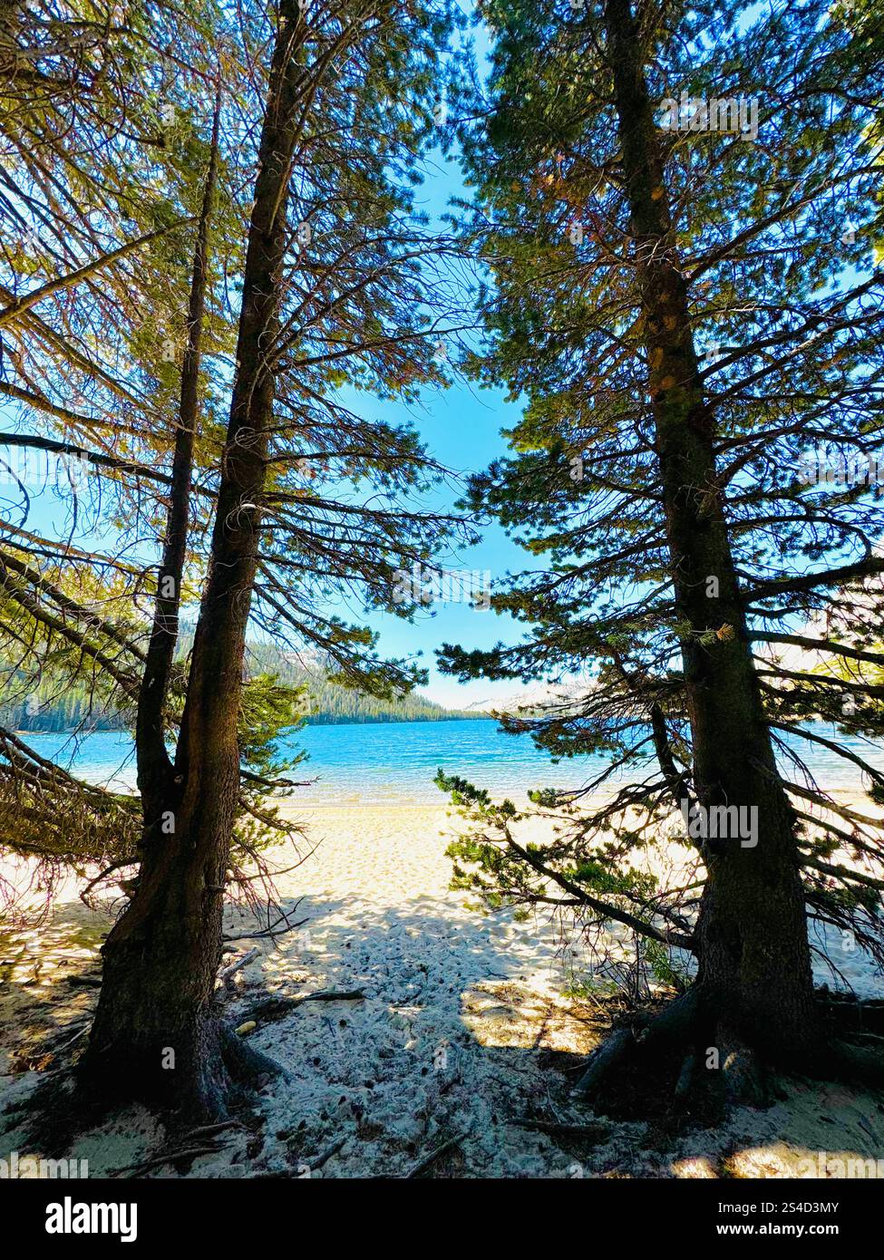 Ellery Lake, Yosemite National Park - Smartphone Captured Stock Image