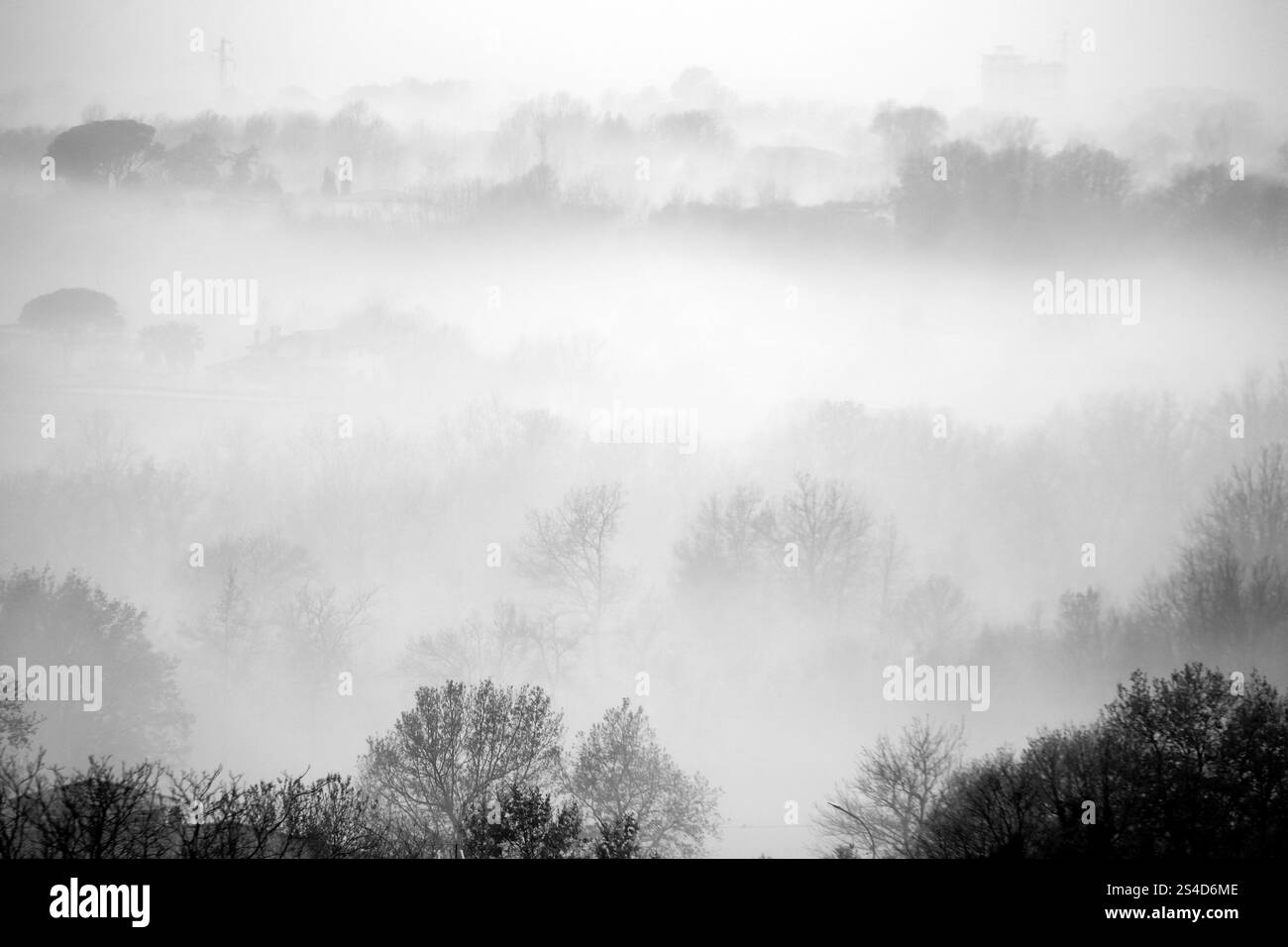 landscape with fog in black and white Stock Photo - Alamy