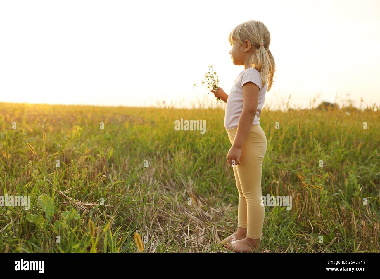Cute little girl with chamomiles at meadow, space for text. Child ...