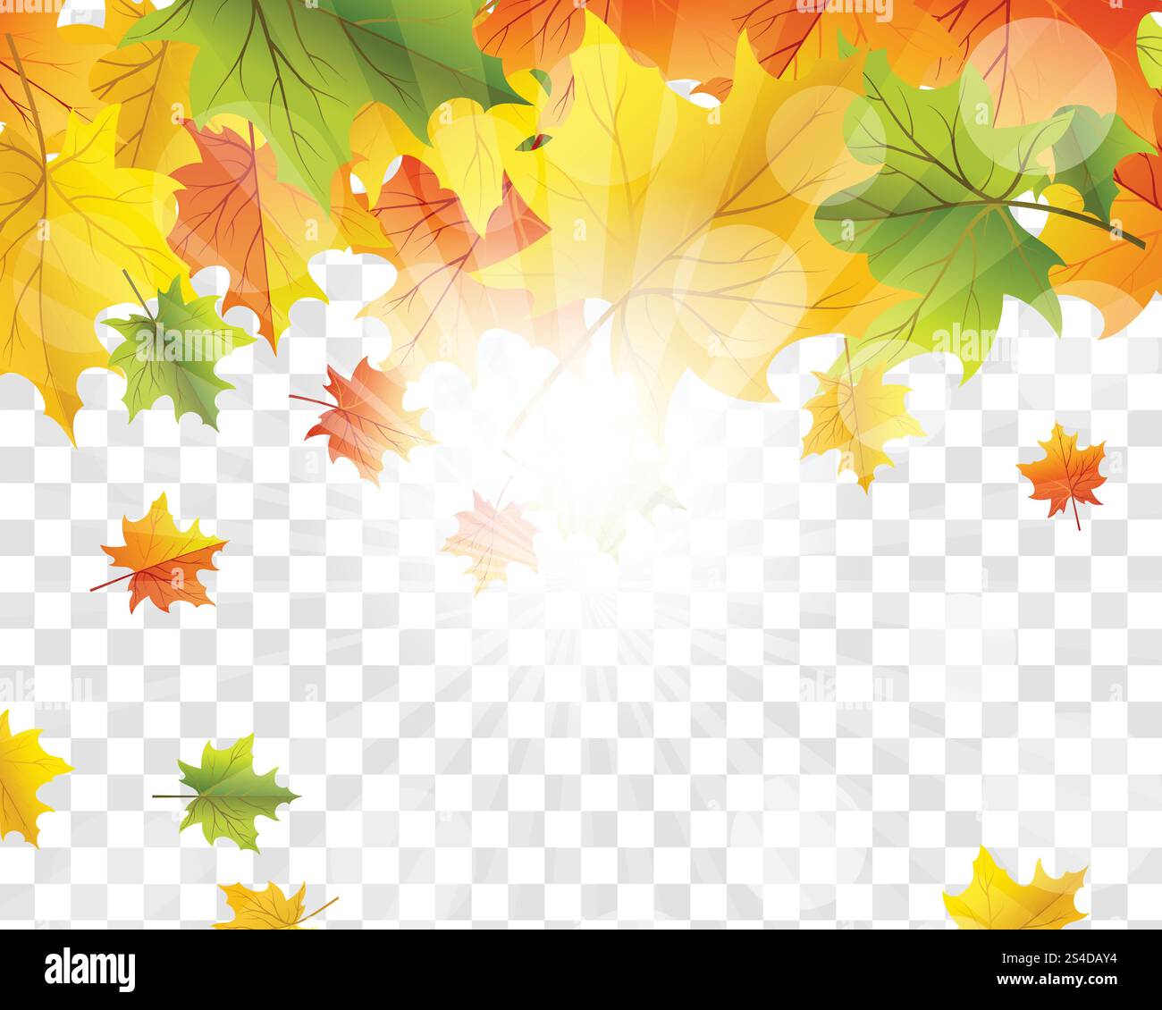Autumn Frame With Falling Maple Leaves on transparency (alpha) grid background. Vector illustration. Stock Vector