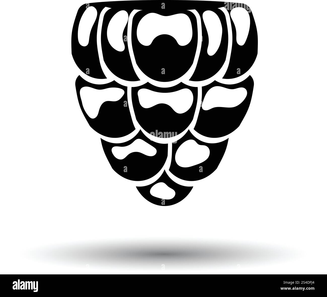 Icon of Raspberry. White background with shadow design. Vector ...