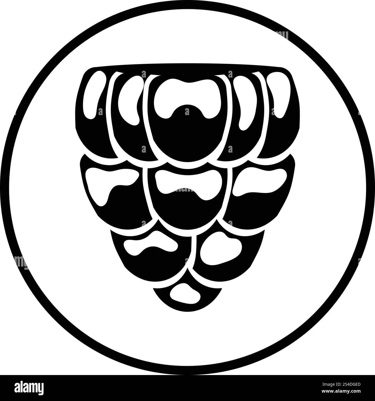 Icon of Raspberry. Thin circle design. Vector illustration Stock Vector ...