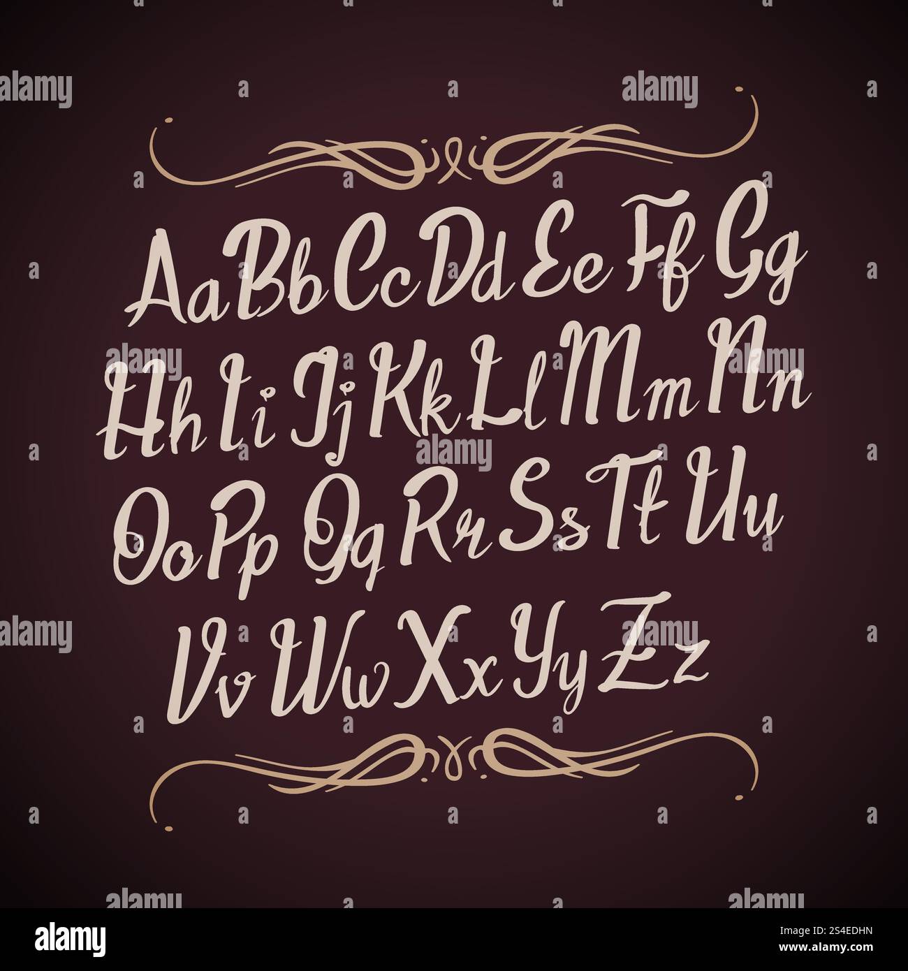 Hand drawn vector alphabet letters. Handwritten calligraphy type ...